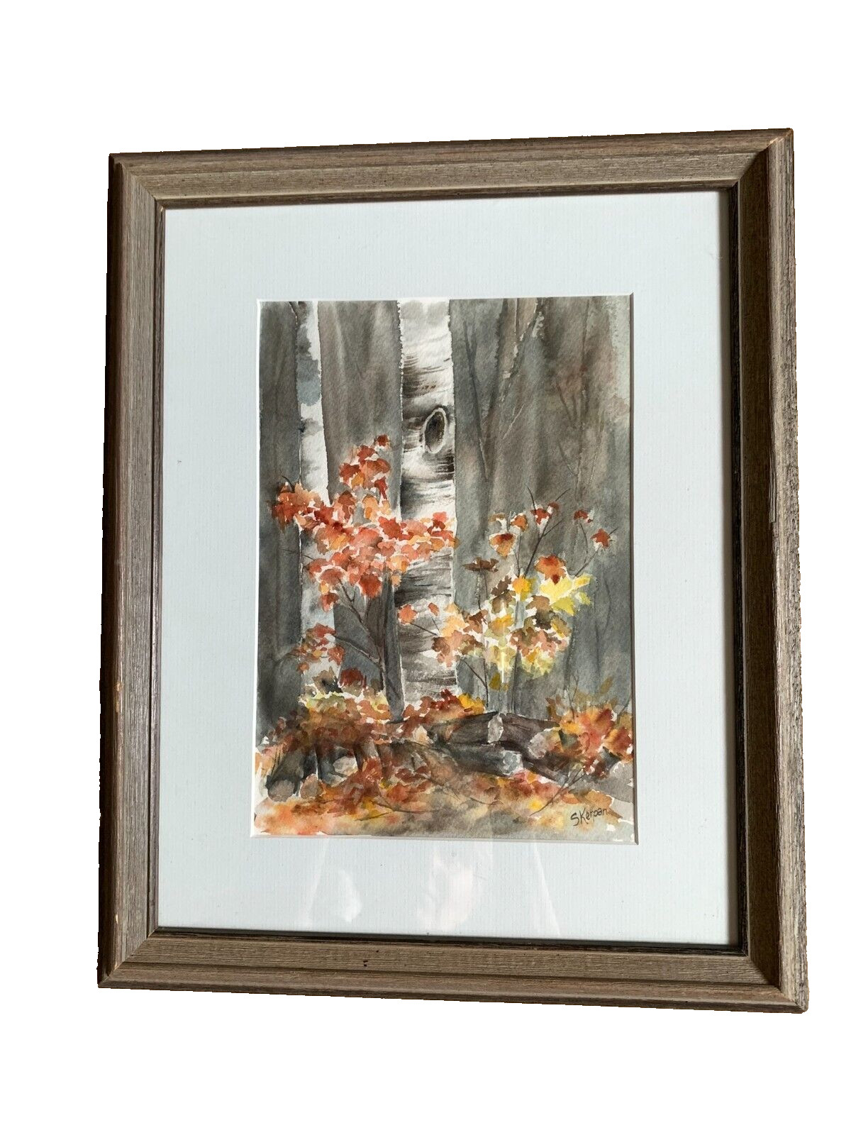 Watercolor on Paper Birch Trees Fall Leaves Red Orange Matted Wood Frame Canada