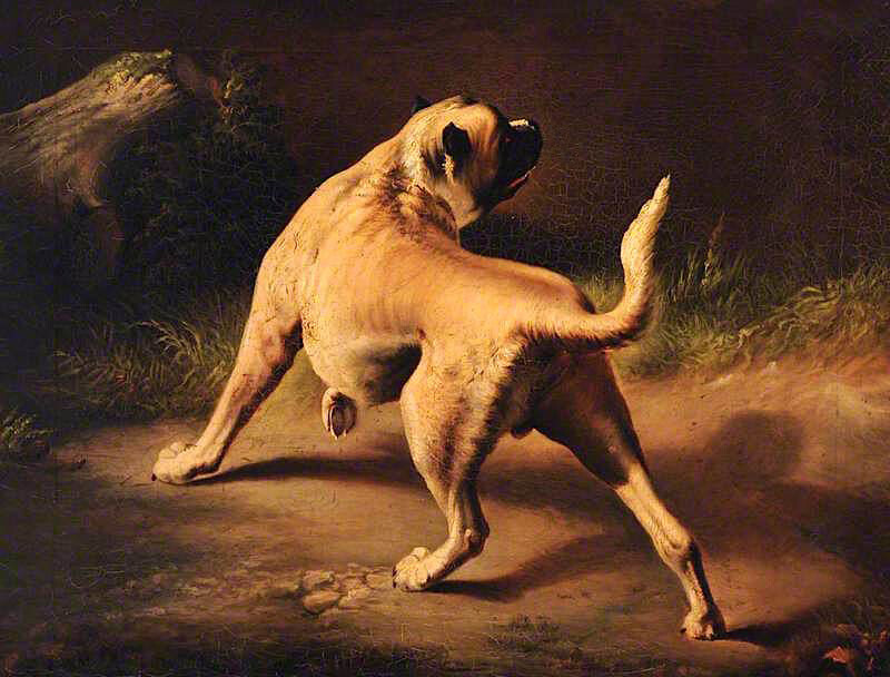 High-quality Oil painting A Dog on Alert Sir Edwin Landseer nice animal