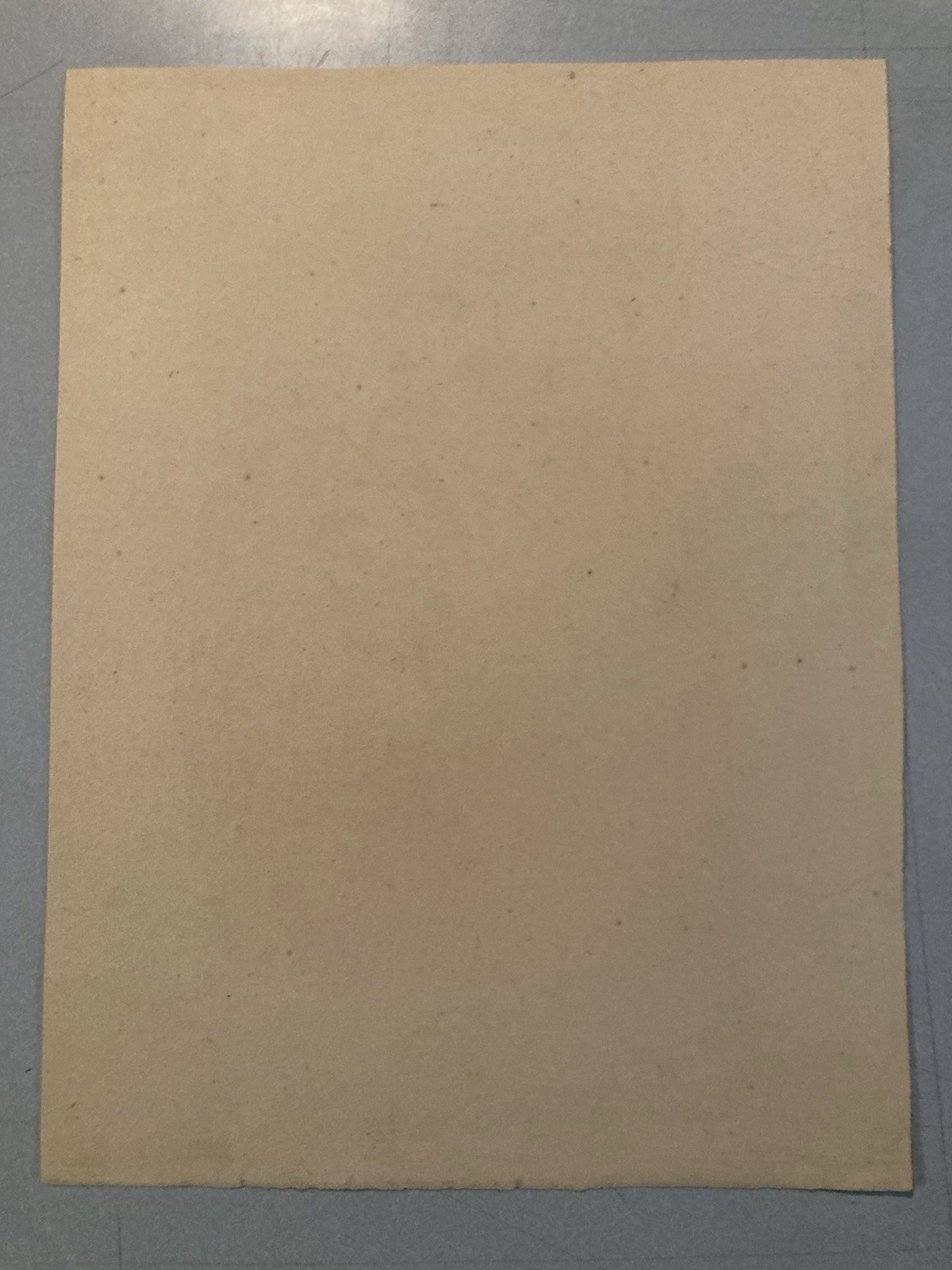 Very Nice Drawing Xixth 1830 Rocher Pencil Swiss? Shaft Foret Antique Alps Art