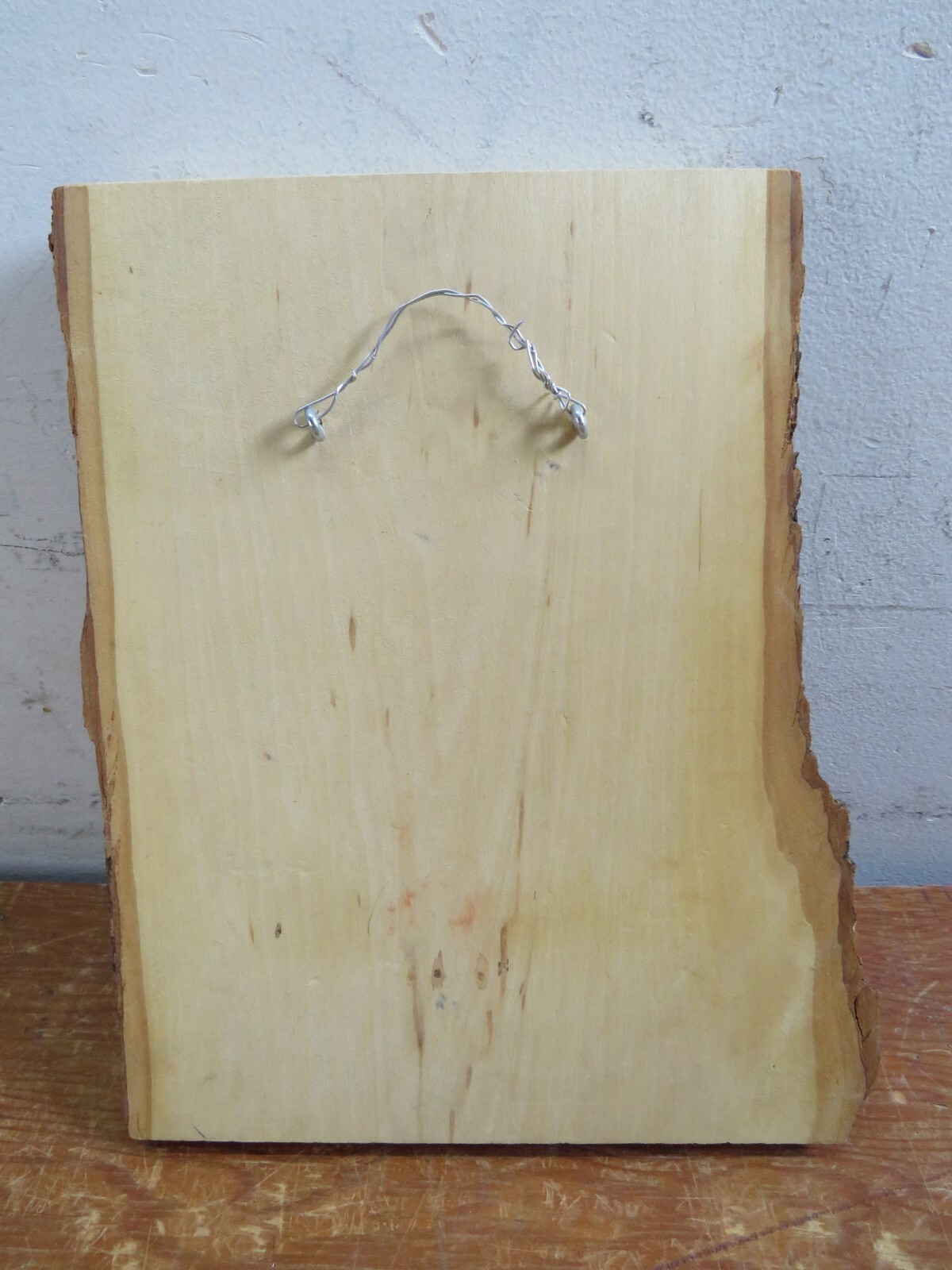 Vintage Native American Wood w/ Bark Painting/Burning/Carving Rollins 9×11