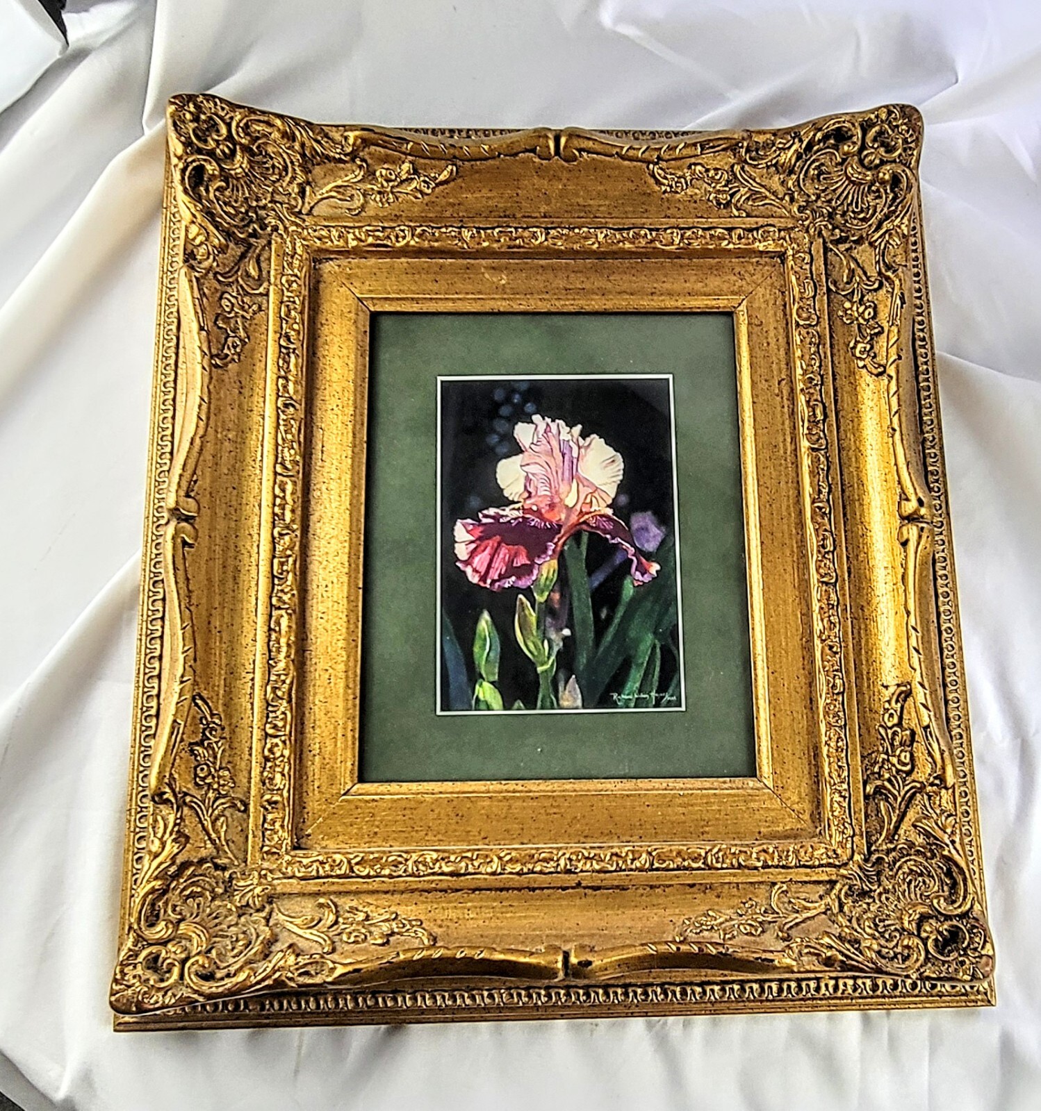 Watercolor painting Richard William Haynes Treasure of Hope flowers framed Decor