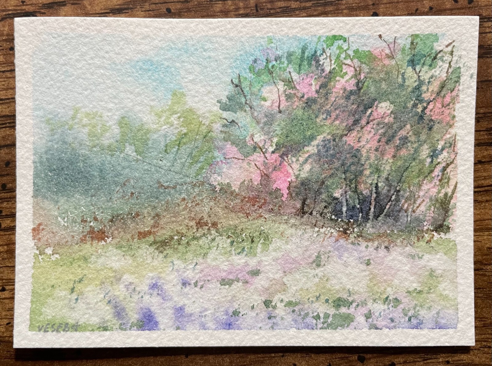 ACEO Original Watercolor Painting Landscape Nature Flowers – 2.5×3.5 in – NEW