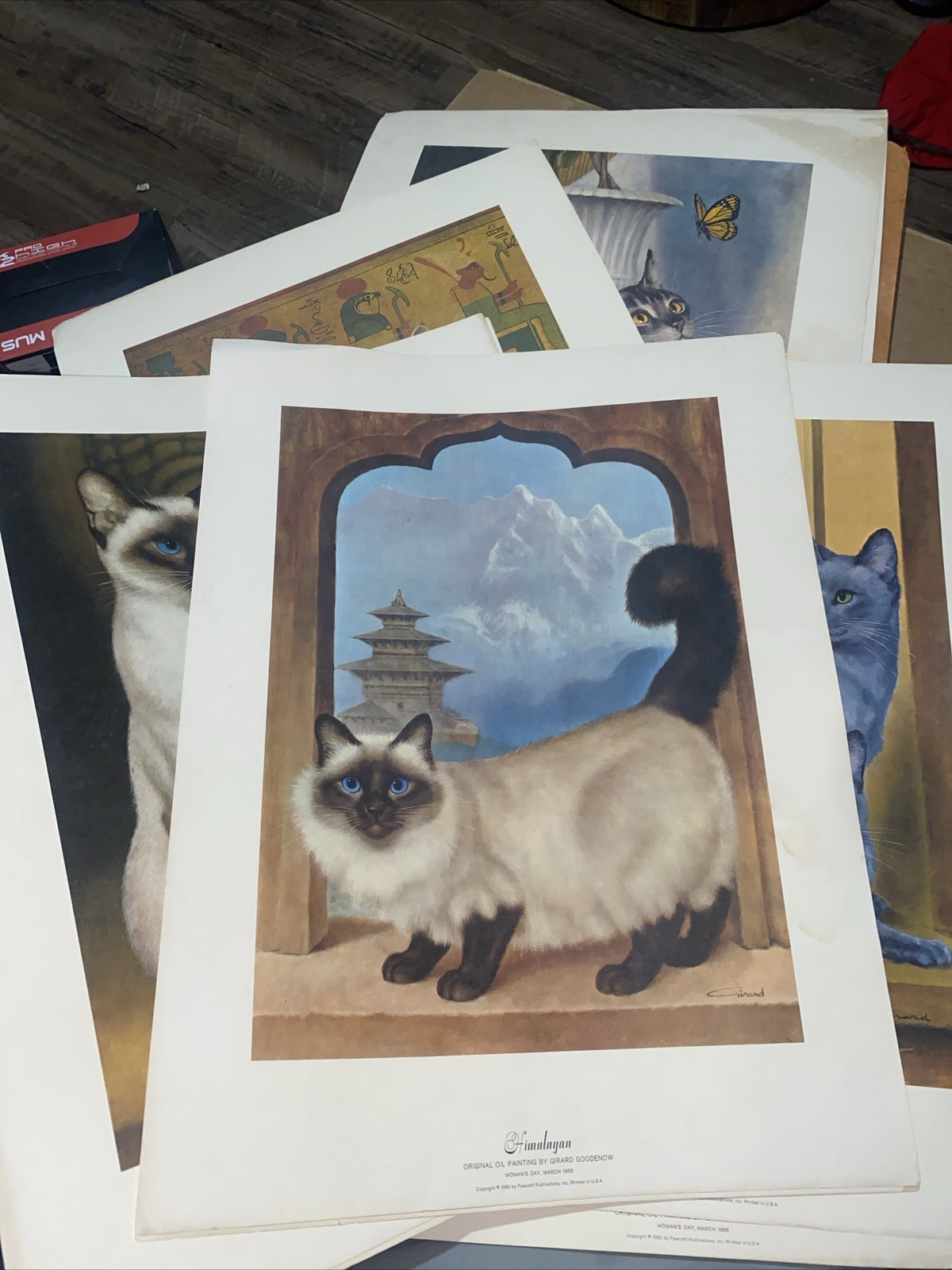 Girard Goodenow “Gallery Of Cat Portraits” 9 Prints See Pics For Conditions
