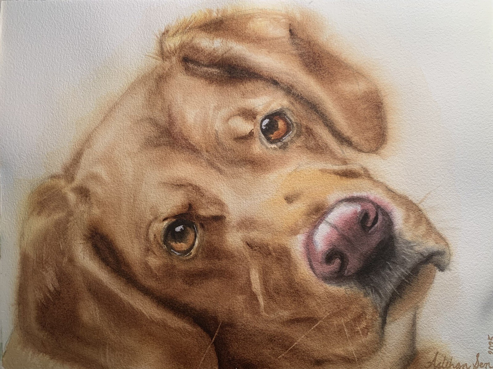 Custom pet portrait commission original watercolor painting sympathy gift art