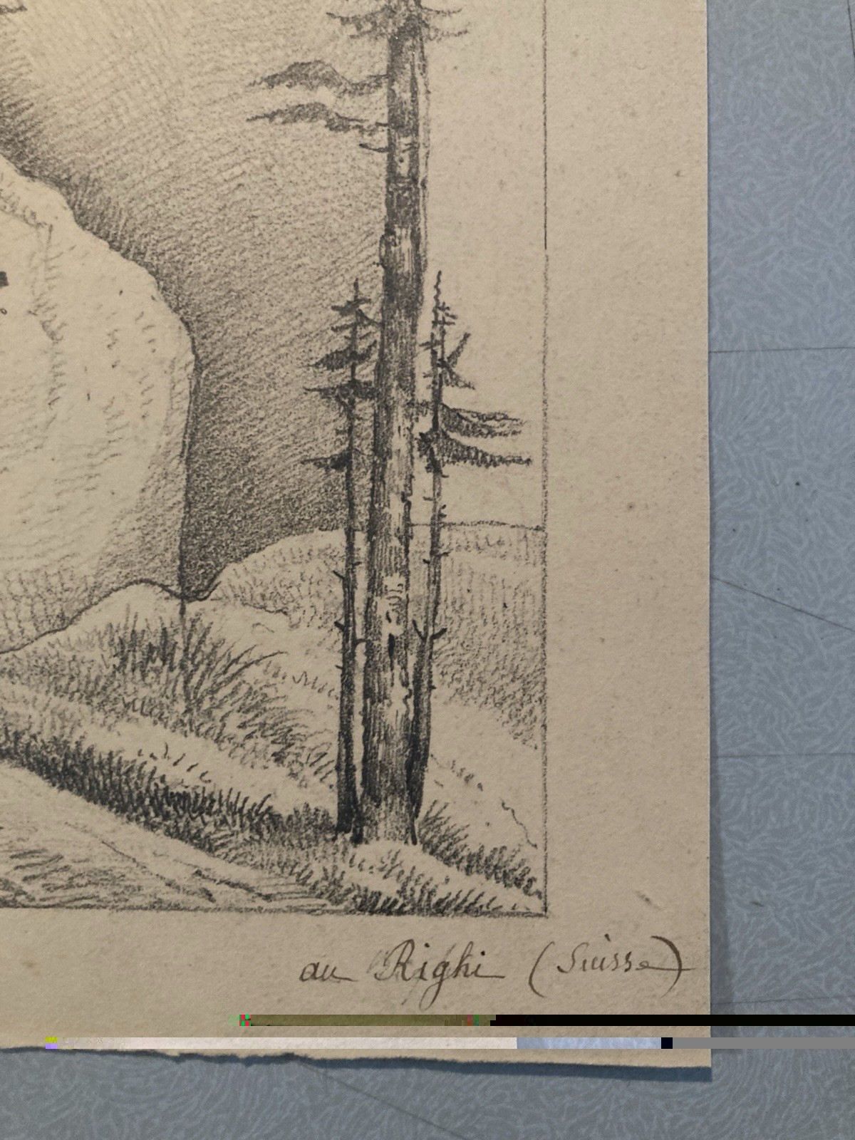 Very Nice Drawing Xixth 1830 Rocher Pencil Swiss? Shaft Foret Antique Alps Art