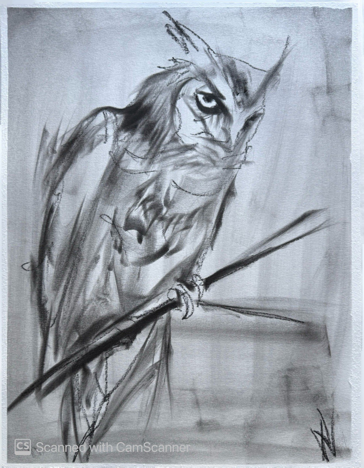 Dark Owl Sketch 11×14 Pastel on Paper Moody Bird Wildlife Art