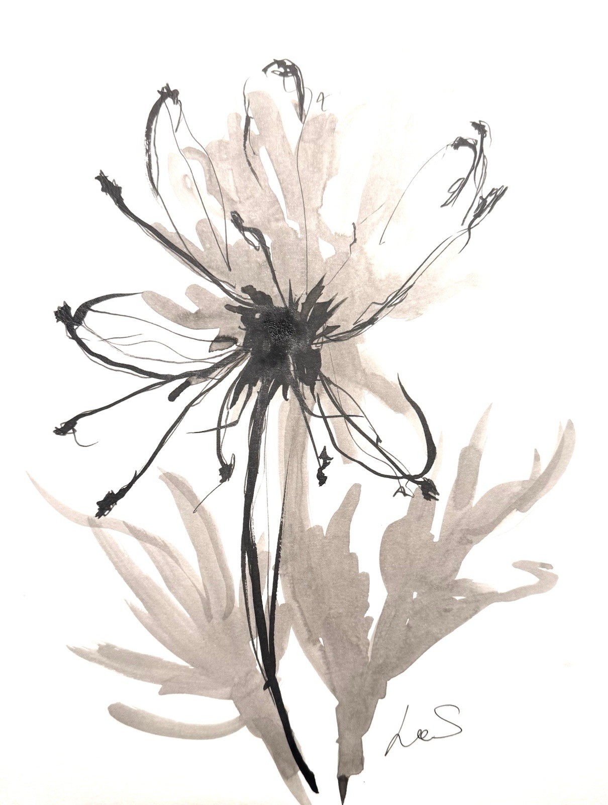 Original Abstract Expressionism 9X12 Monochrome Flower Handmade Signed 11