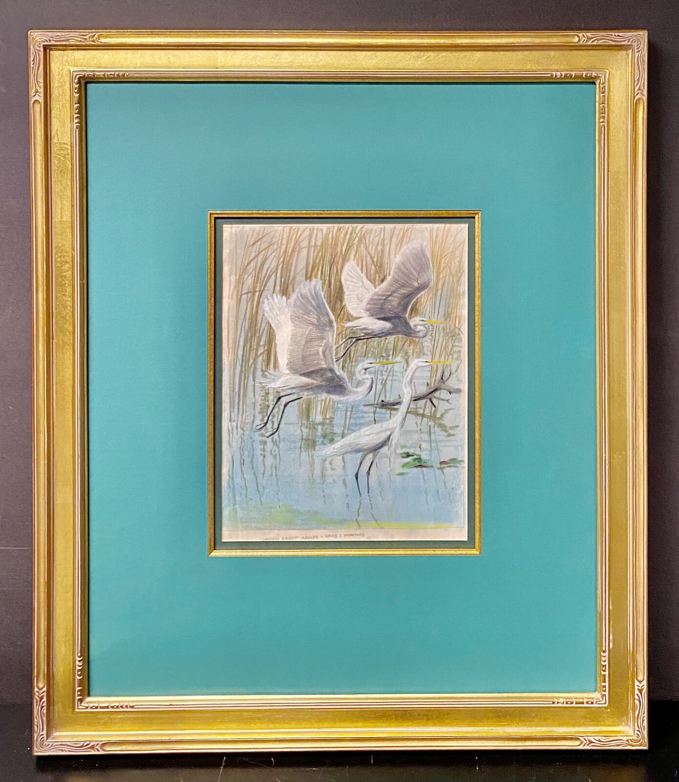 Arthur Singer Original Bird Art Painting Common Egrets, Pastel, Framed, c1960’s