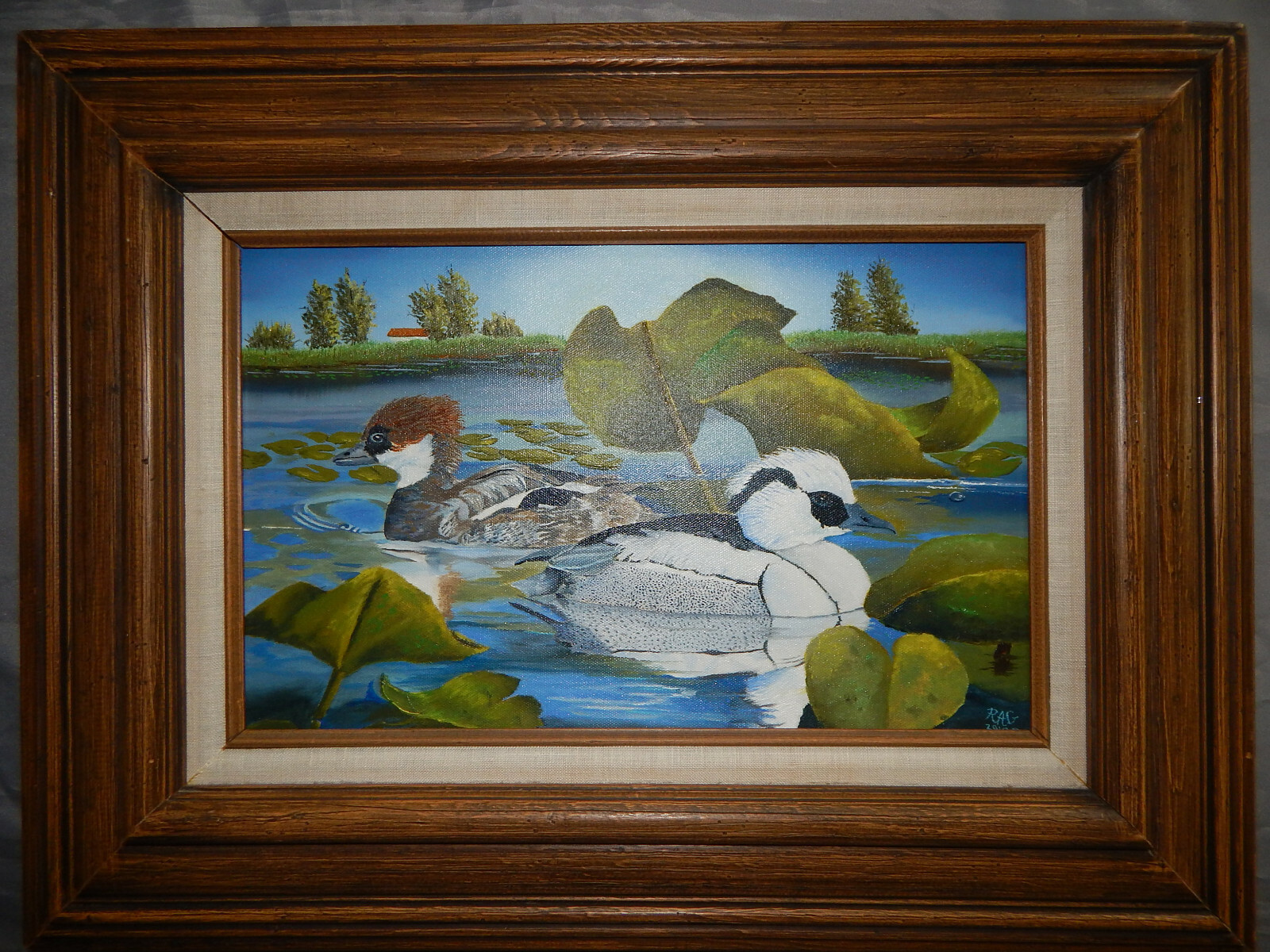 SMEW DUCKS original oil on canvas painting artist signed framed birds 10×16 inch
