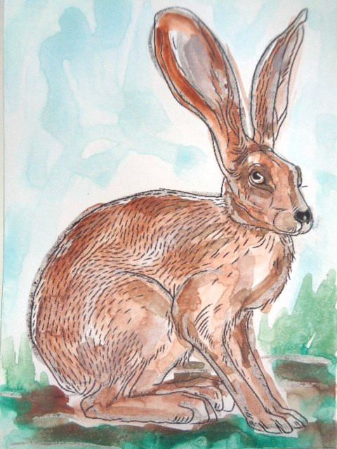 ATC ACEO Desert HARE Painting Art