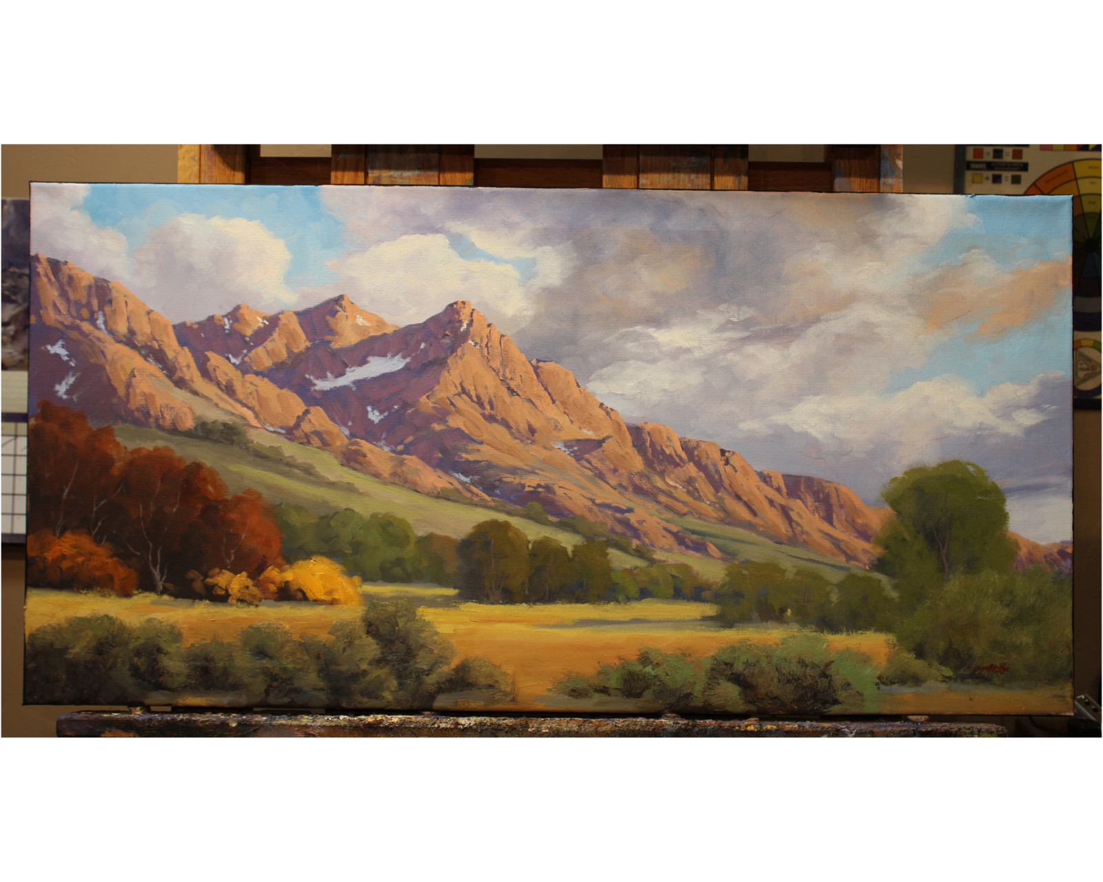 Jeff Love Art Large Original Oil Painting Arizona Catalina State Park Oro Valley