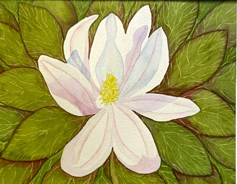 PAINTING WATERCOLOR ORIGINAL ART FLOWER MAGNOLIA WHITE PINK BLUE 11×14 MAT 16X20