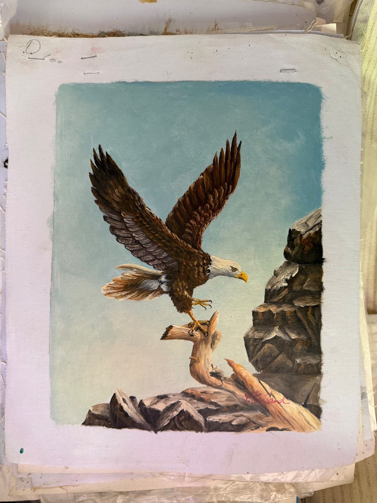Vintage Bald Eagle Wildlife Scenic Decorative Oil Painting Art