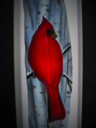 Cardinal & Birch Trees – Russ Abbott – Original Hand Painted Feather
