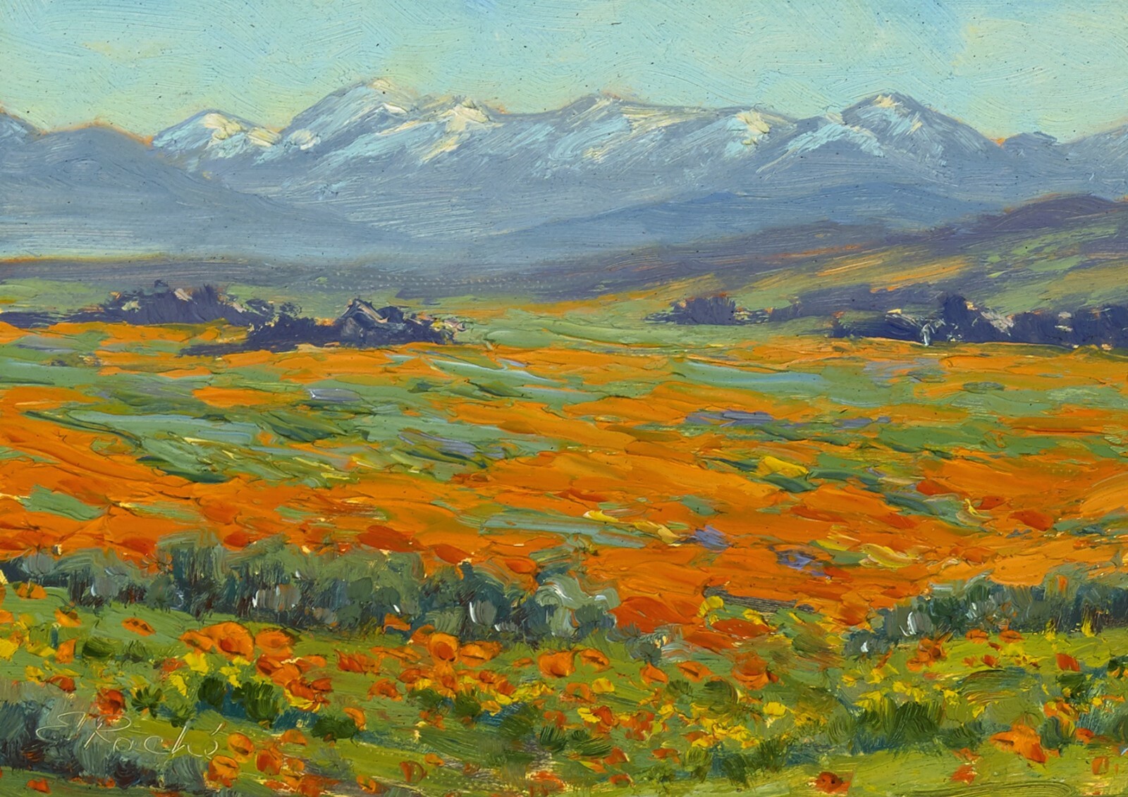 Small Original Landscape Oil Painting Plein Air 5×7 Framed
