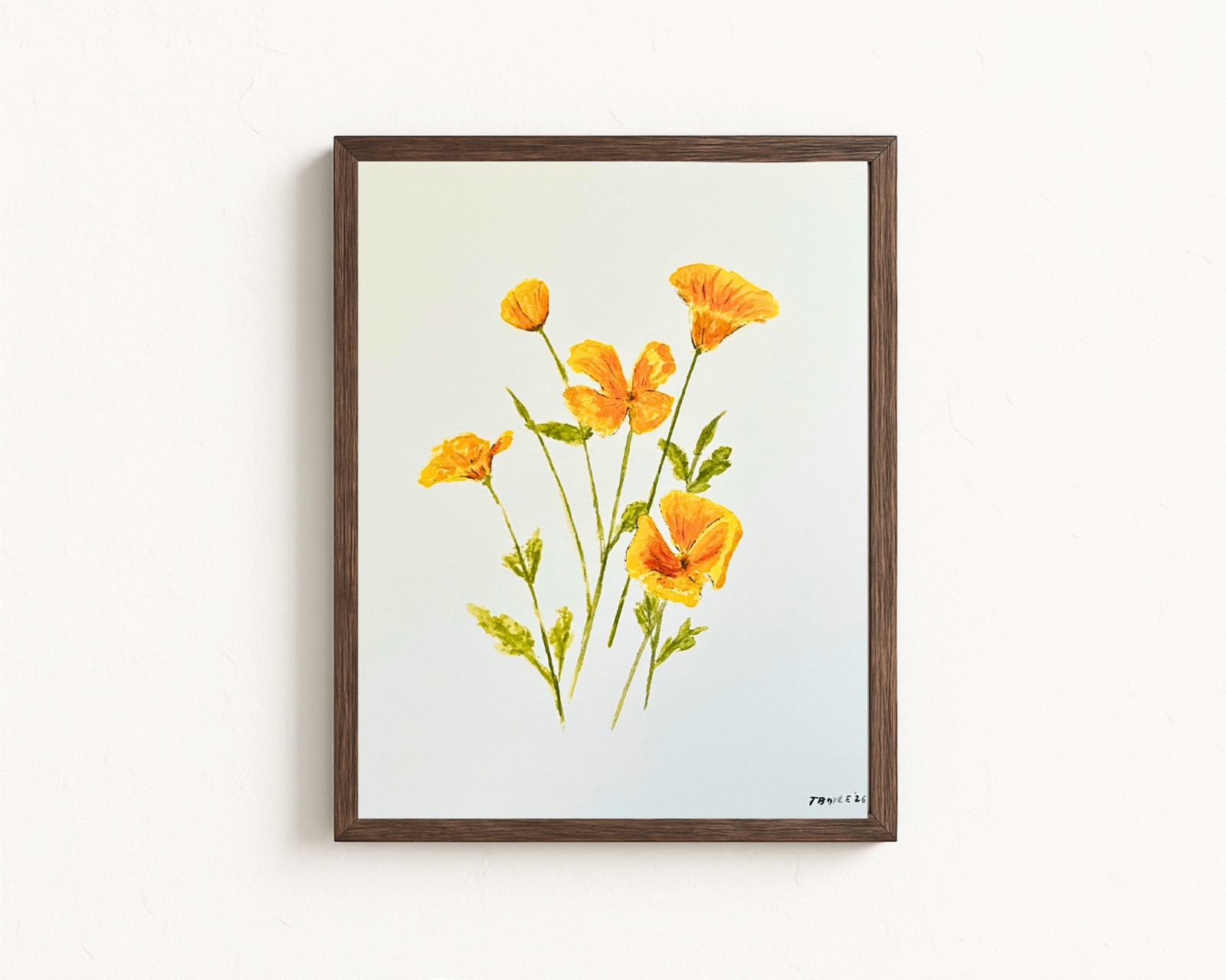 Original Watercolor Painting, California Poppy Flower, Orange, 8×10, New