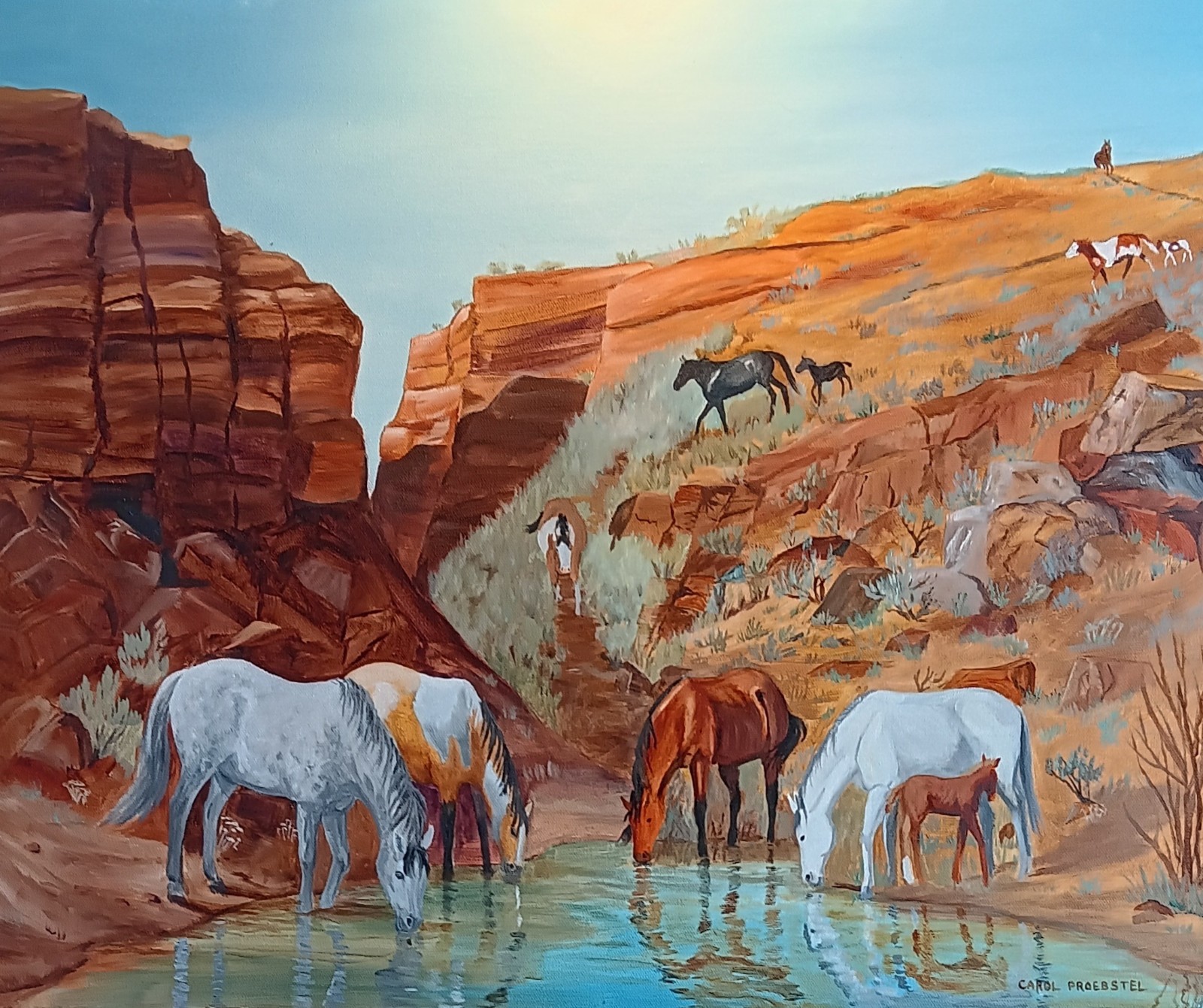 original oil painting western horse mustangs canyon wildlife Carol Proebstel