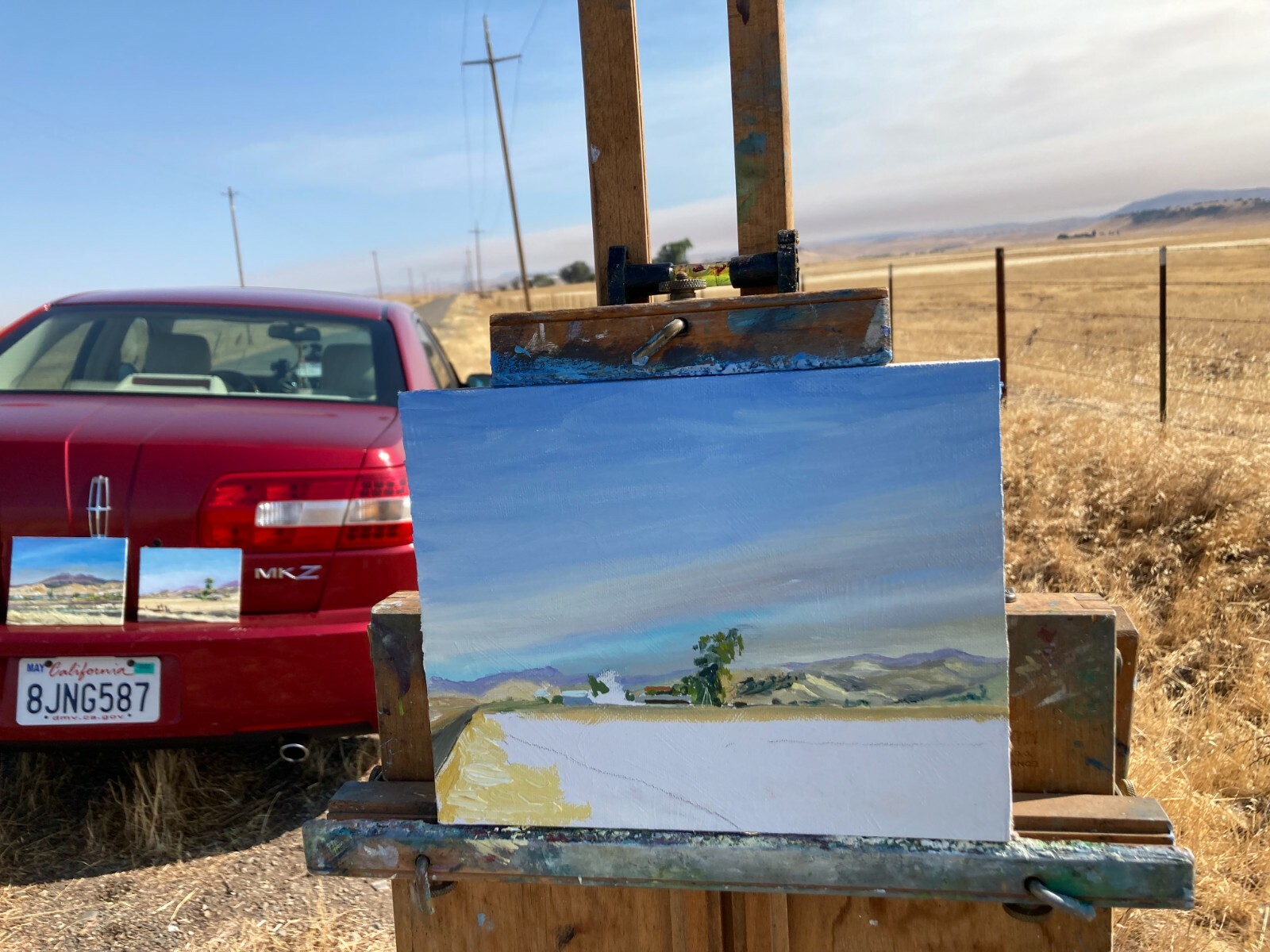 US Dept State Recognized artist: E. Merced foothills out Cunningham Rd