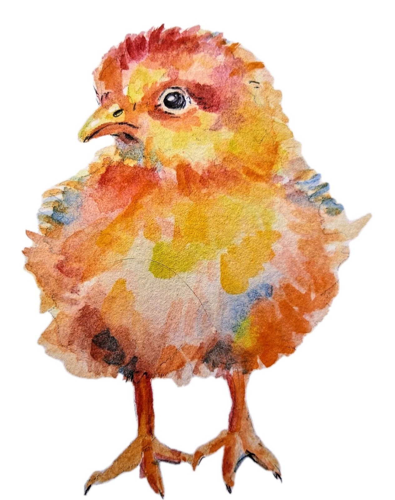 Colorfu Little chic Bird art watercolor painting,nature lover Best gift 4.5×3.5″