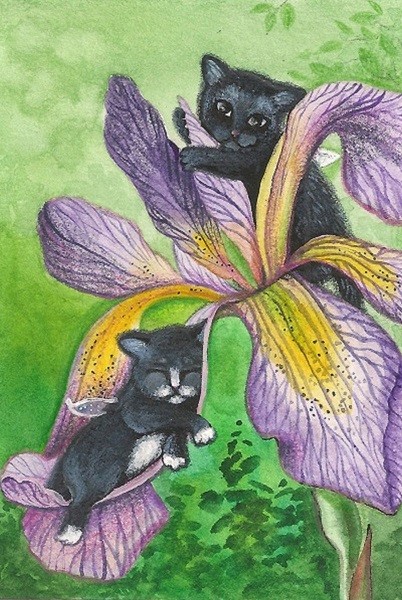 4×6 PRINT OF PAINTING RYTA FAIRY TUXEDO CAT BLACK KITTEN IRIS FLOWER Folk Art 🌸