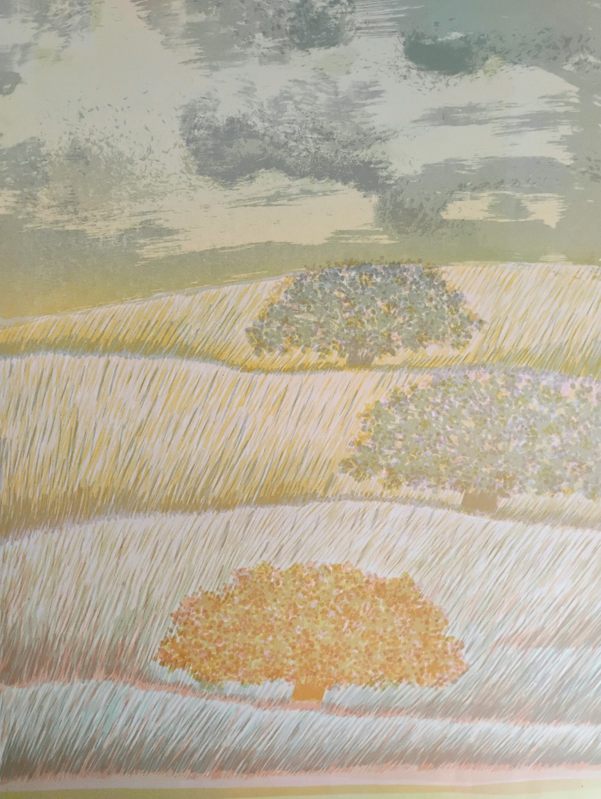 Julia Ninio Signed And Numbered By Artist Buenos Aires Argentina