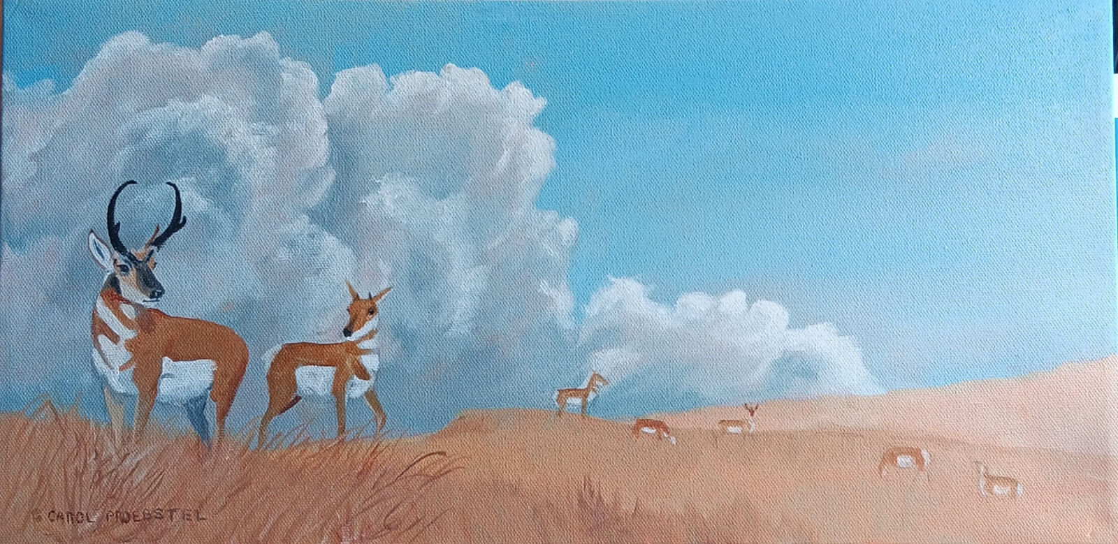 Original oil painting wildlife antelope pronghorn Thundercloud Carol Proebstel