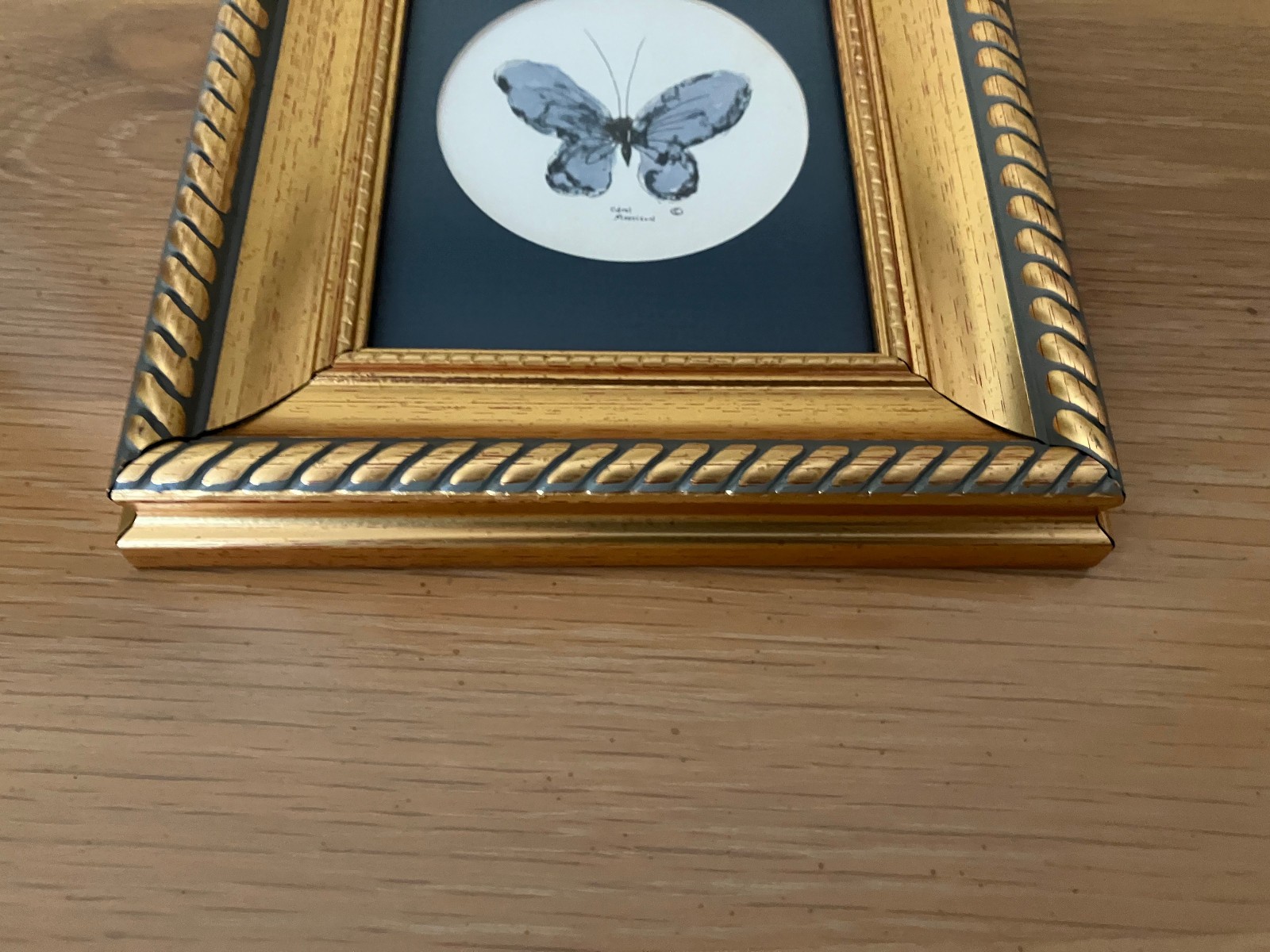 Vtg Orig Watercolor Painting in Updated 4×5 Frame; Butterfly, Carol Morrison