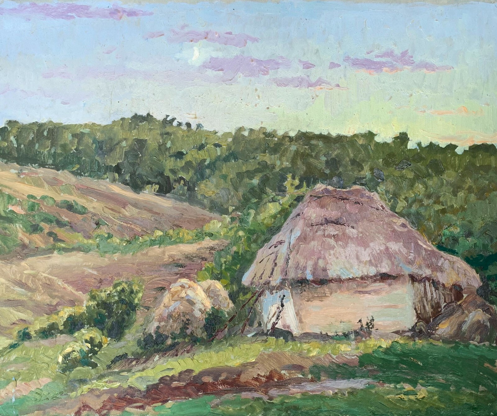 Oil Painting Houses Outskirts Cherkas A Original Unframe Wall Hanging n1304