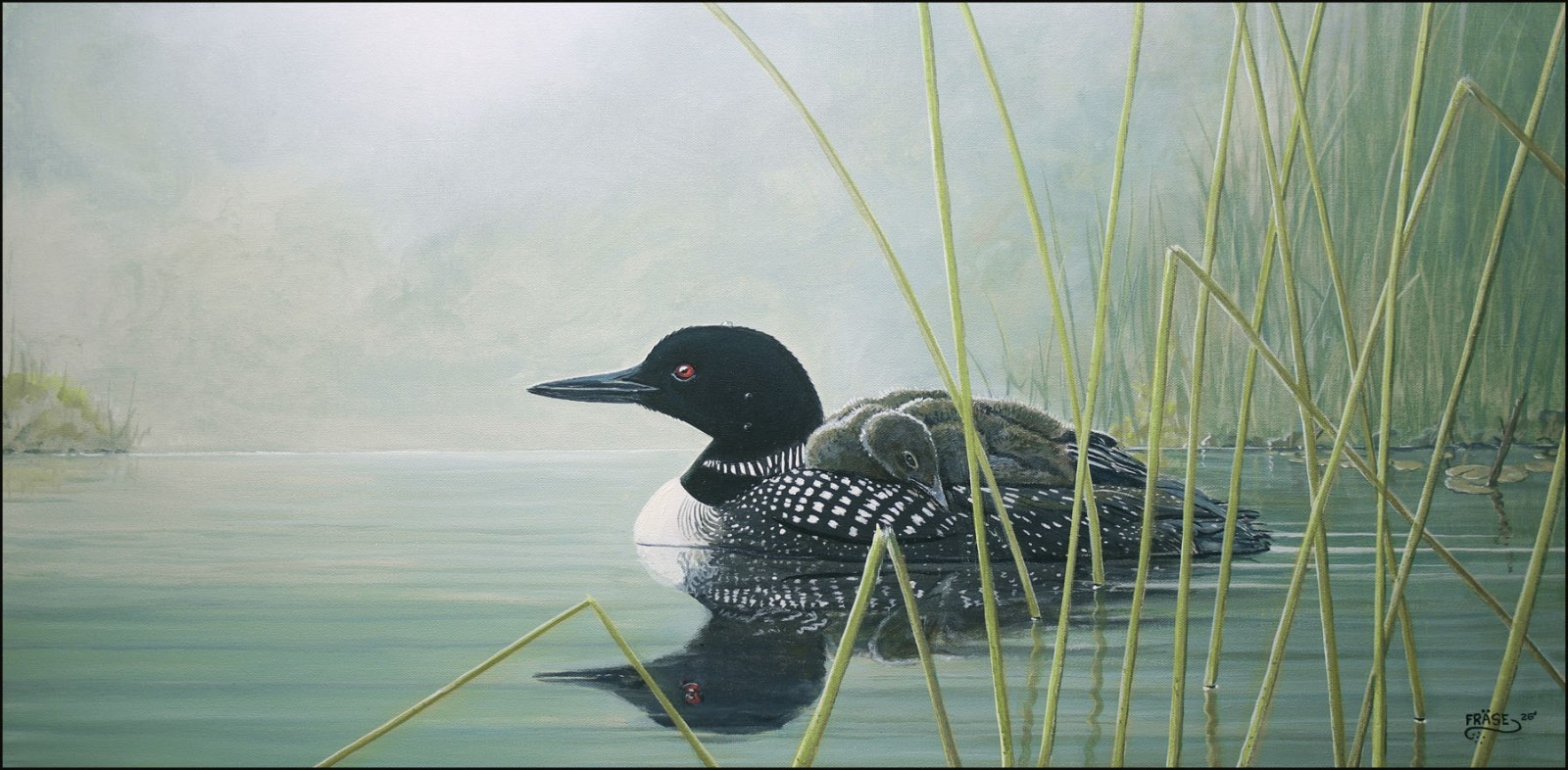 FRASE ORIGINAL PAINTING LOON FAMILY FRAMED BIRD REEDS ART DUCK STAMP ARTIST