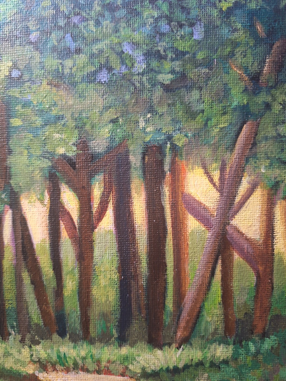 Sun Through The Forest 8×10 Acrylic Canvas Panel Painting