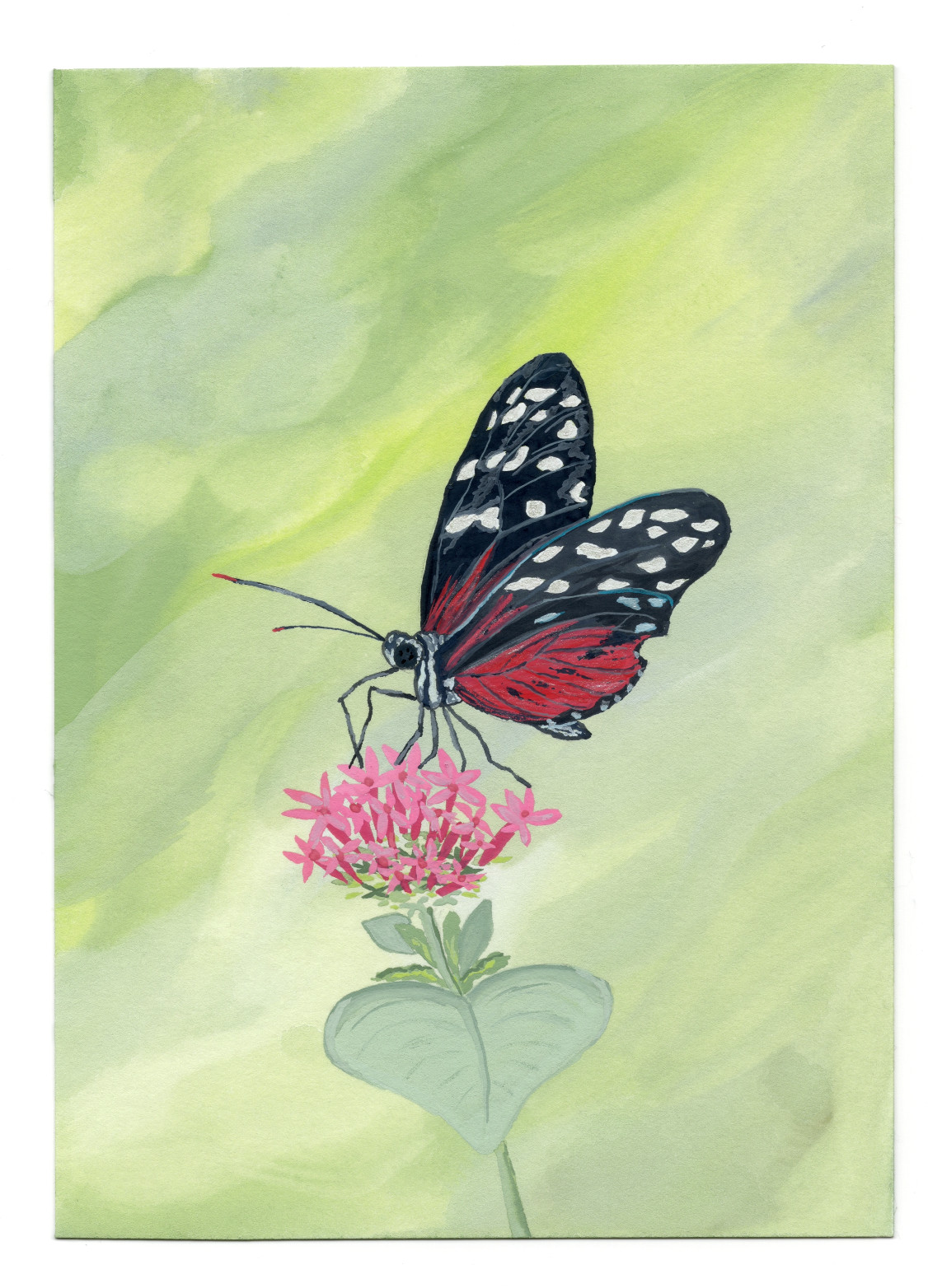 5×7 ORIGINAL Gouache Painting Butterfly Flower Signed CALMLY CREATE