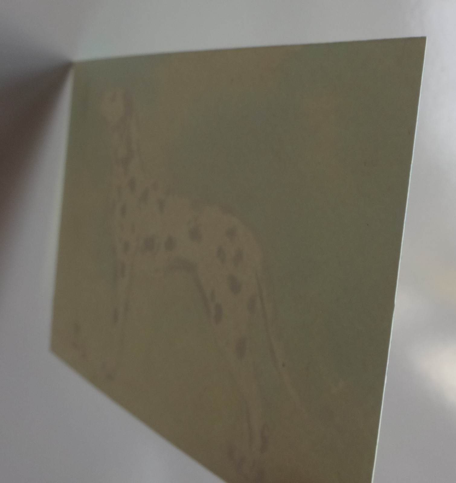 GERRY MILLER. “Dalmation” watercolor painting on paper. 13x9cm.