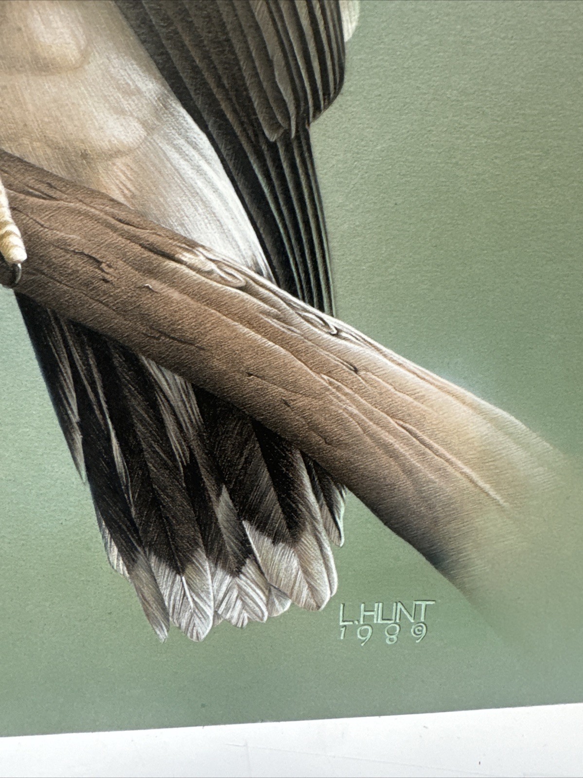 REALIST PAINTING EAGLE BIRD REALISM LARRY HUNT EXHIBITED NATURE WESTERN ARTIST