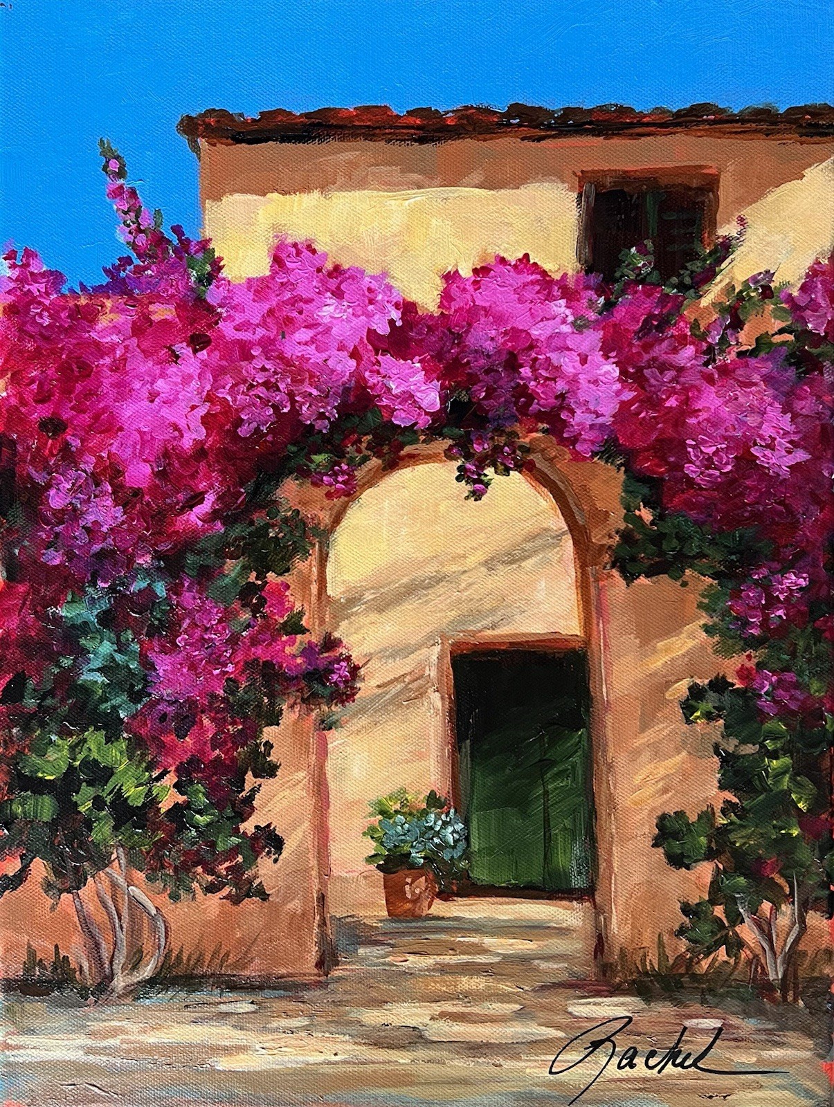 12 X16 Original Signed Acrylic Painting Colorful Bougainvillea Old Tucson Door