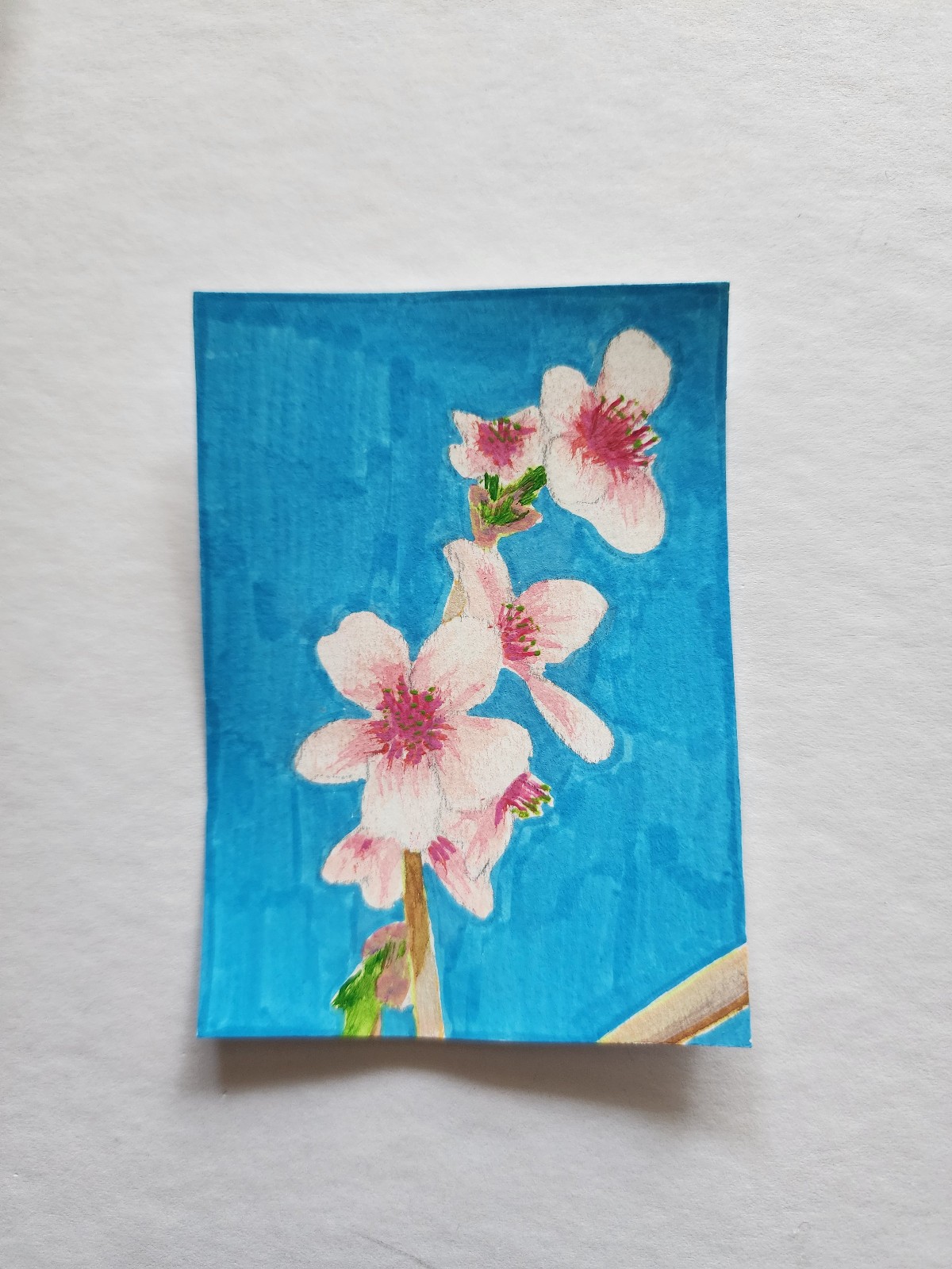 ACEO Original Abstract Acrylic Painting Branch of Cherry Blossom Flowers by Kiva