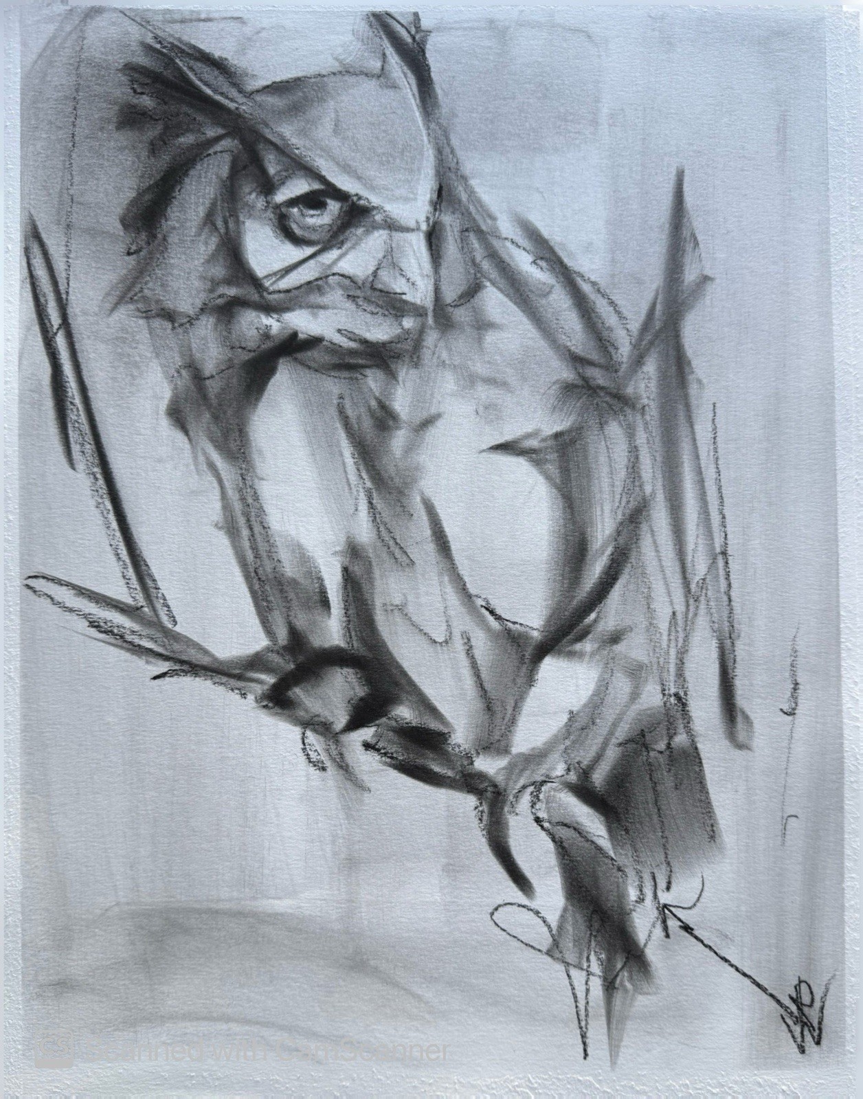 Abstract Bird Drawing 11×14 Pastel on Paper Expressionist Wildlife Art