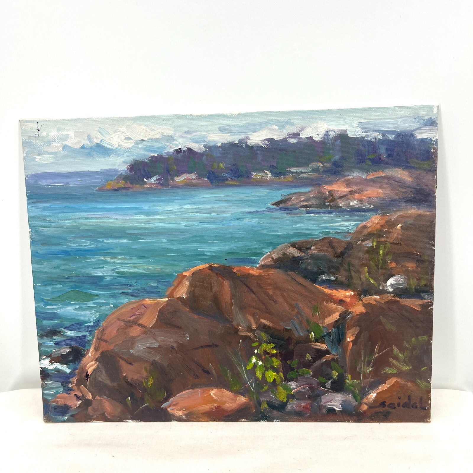 Original Artwork Study 11”x14” Oil Canvas Panel Rocky Bay Tadeusz Seidel