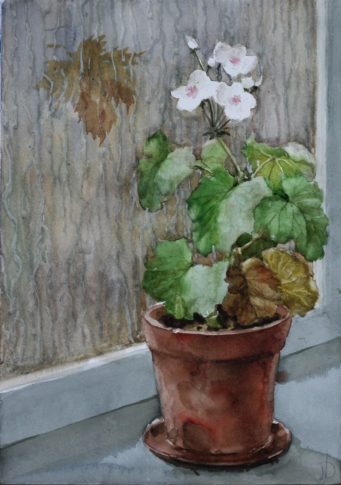 Autumn Rainy Window Plant Pot Geranium Flowers Watercolor Painting Original