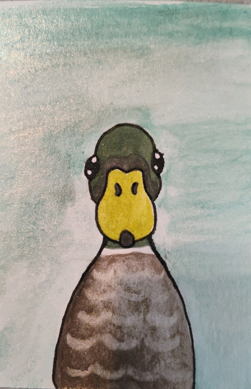 ACEO Original Watercolor Painting 2.5×3.5″ By Skye- Mallard Duck Of Concern