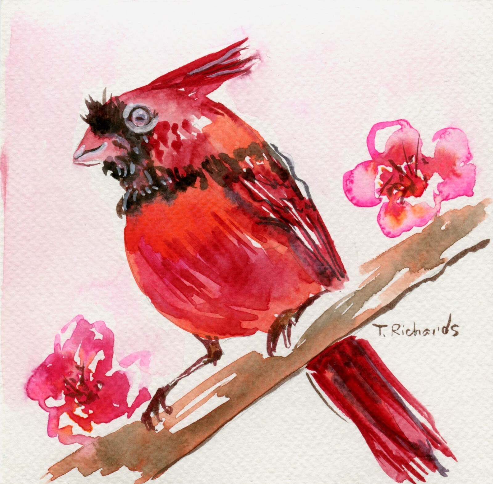 Red cardinal ORIGINAL art Watercolor painting Bird wildlife artwork Signed 6×6″