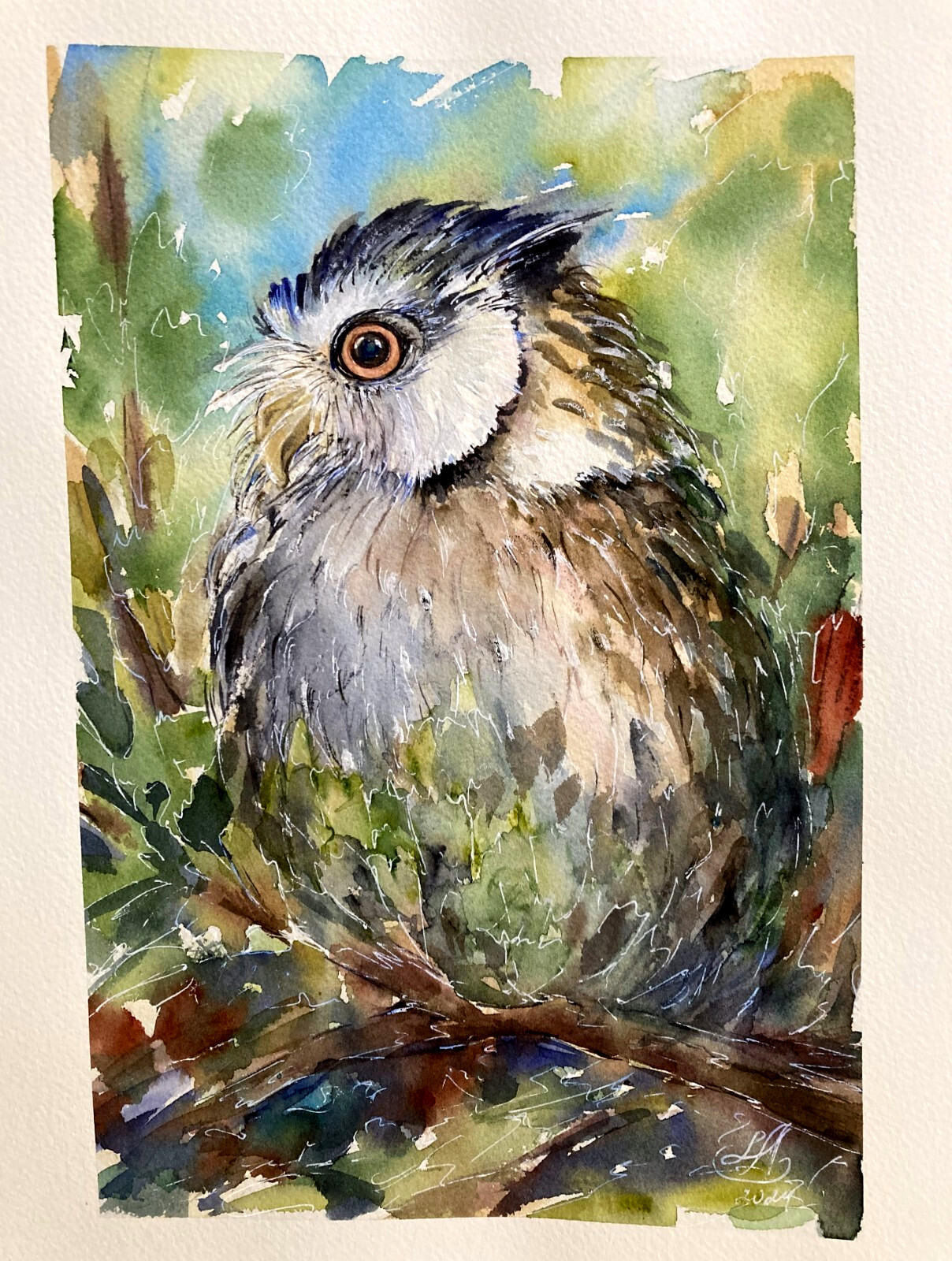 Owl Watercolor Painting Original Bird Art Nature Woodland Wall Decor Signed