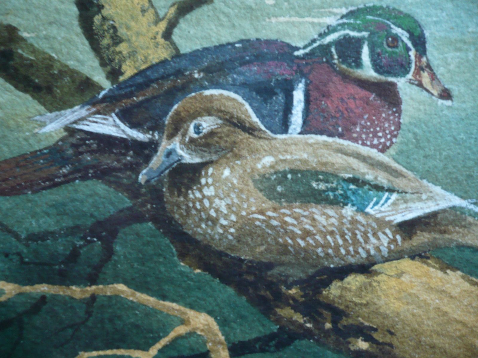 DUCK DUCKS IN A POND WILDERNESS REALISM, VINTAGE ARTWORK WATERCOLOR COLORFUL WC