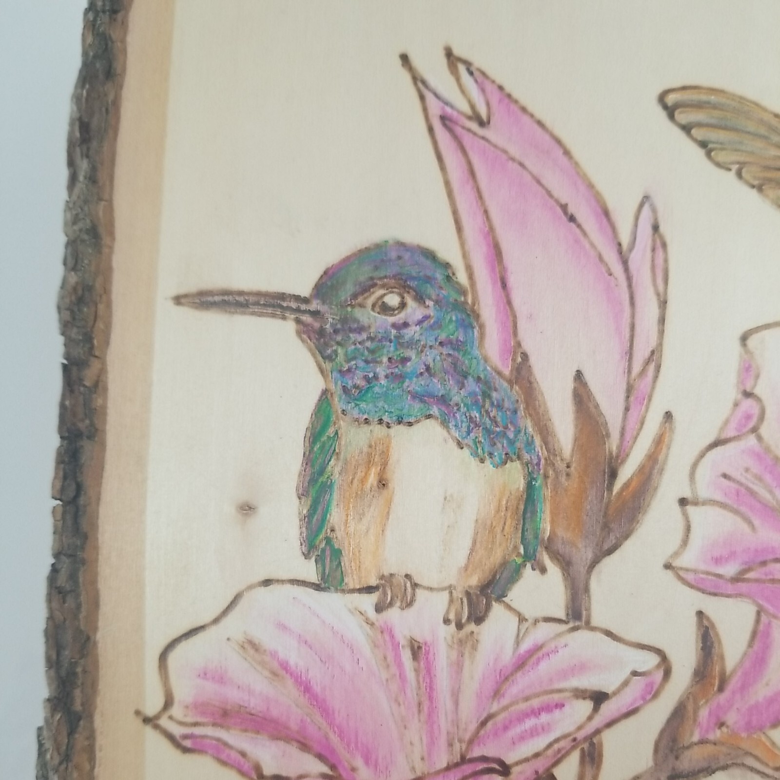 Hummingbirds w/ Pink Flowers on Wood Plank Wood Burning Folk Signed Joi 12″x10″