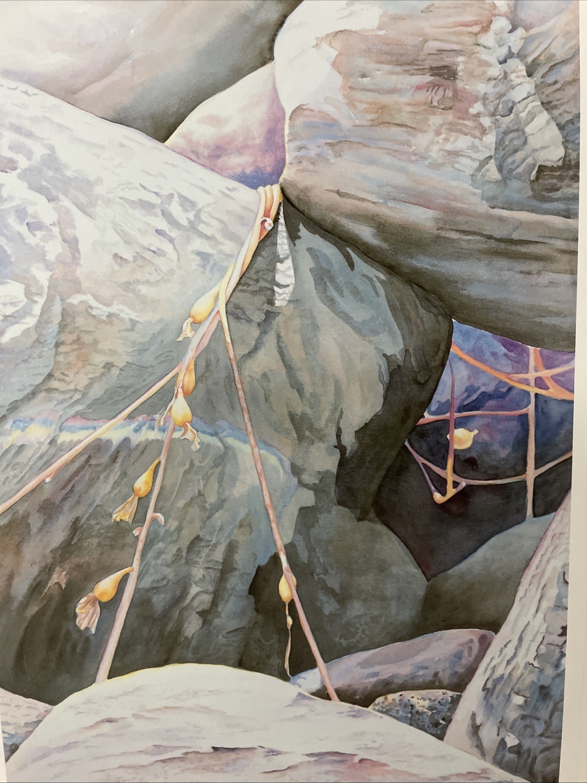 Cabrillo «After The Storm»1986 California Signed Linda Gunn 28.5″X20»