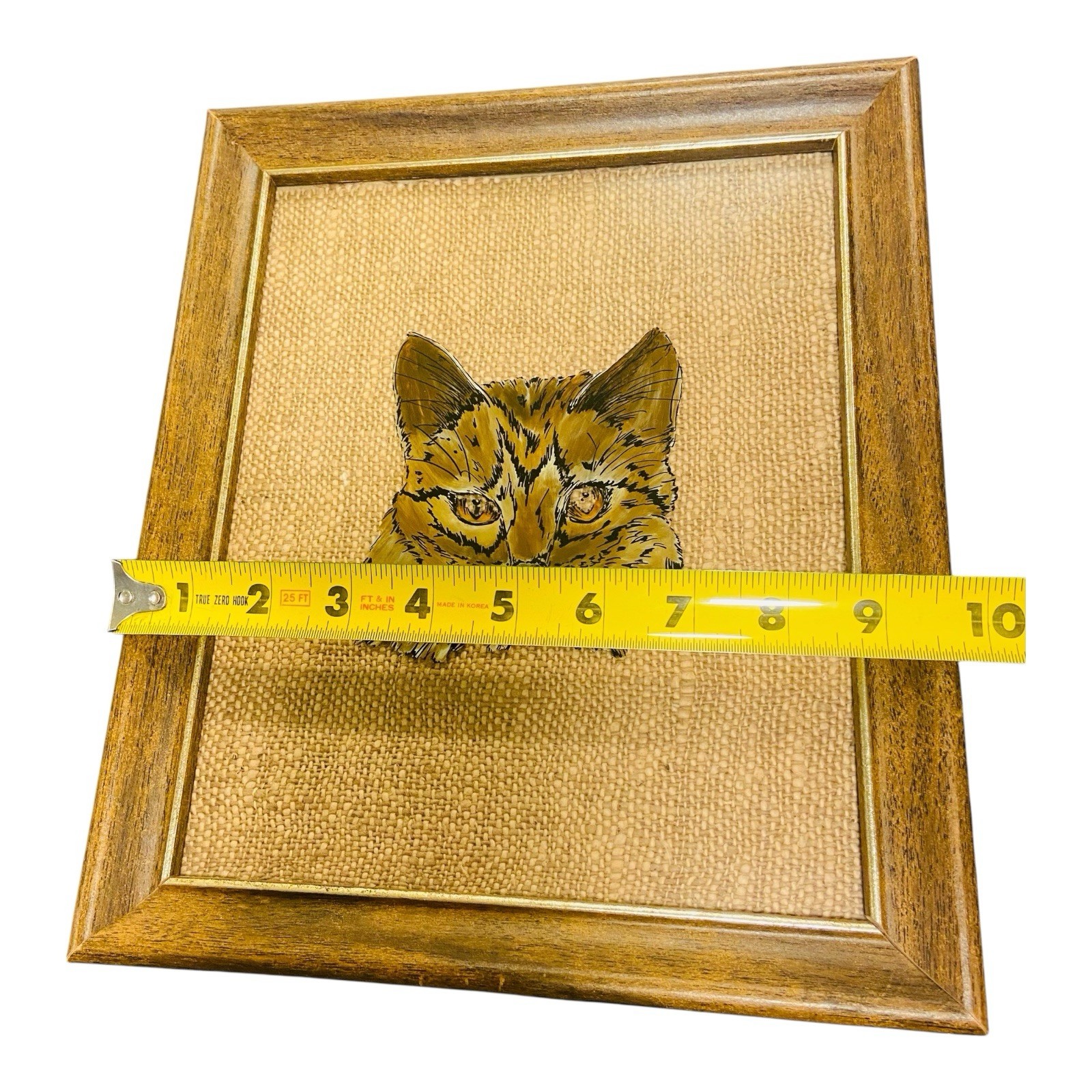 Vintage Reverse Painting Cat Framed 1980s Long Hair Tabby 9.75” x 11.5”