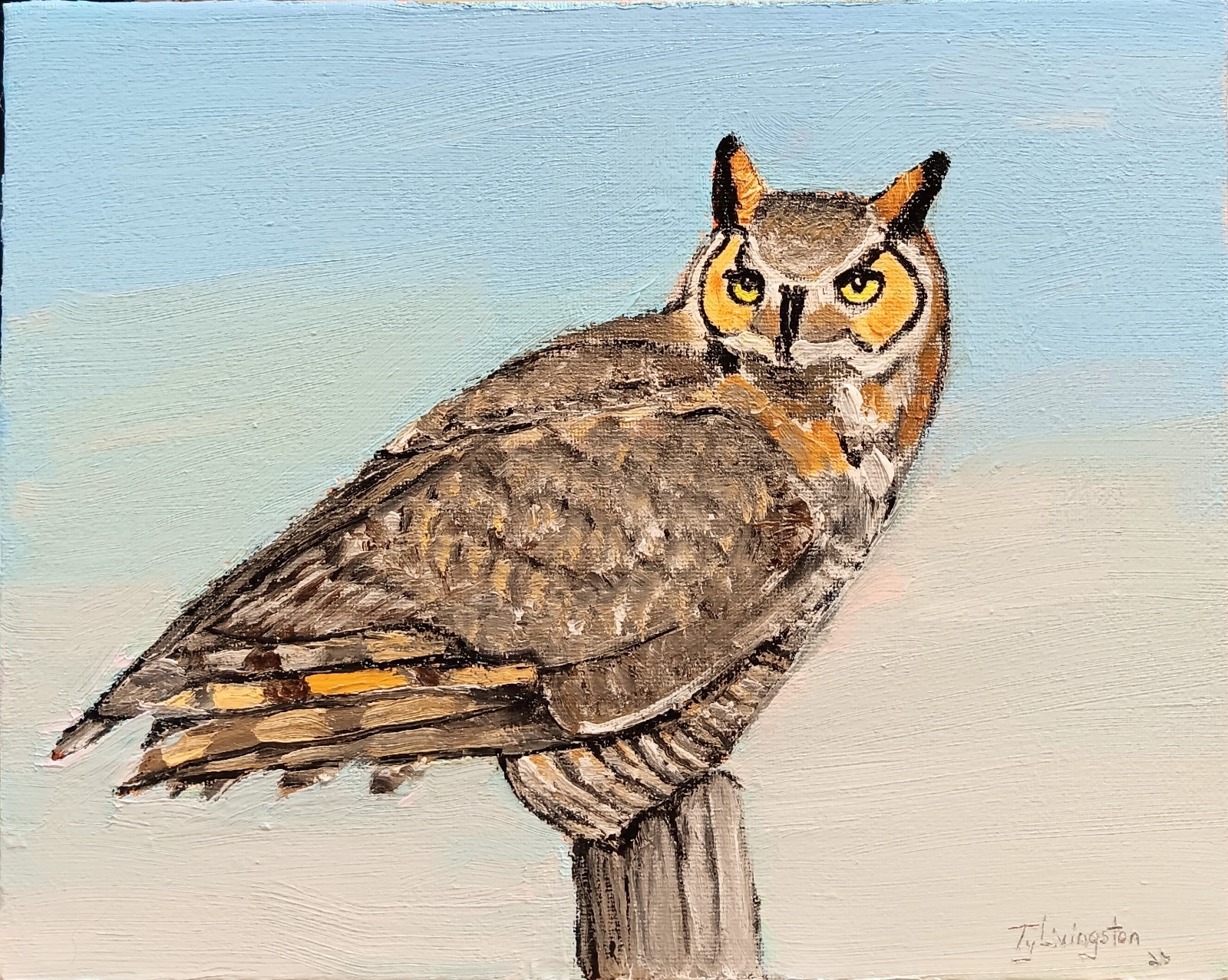 ON POINT 8×10 Original Oil Painting of Great Horned Owl by Ty Livingston.
