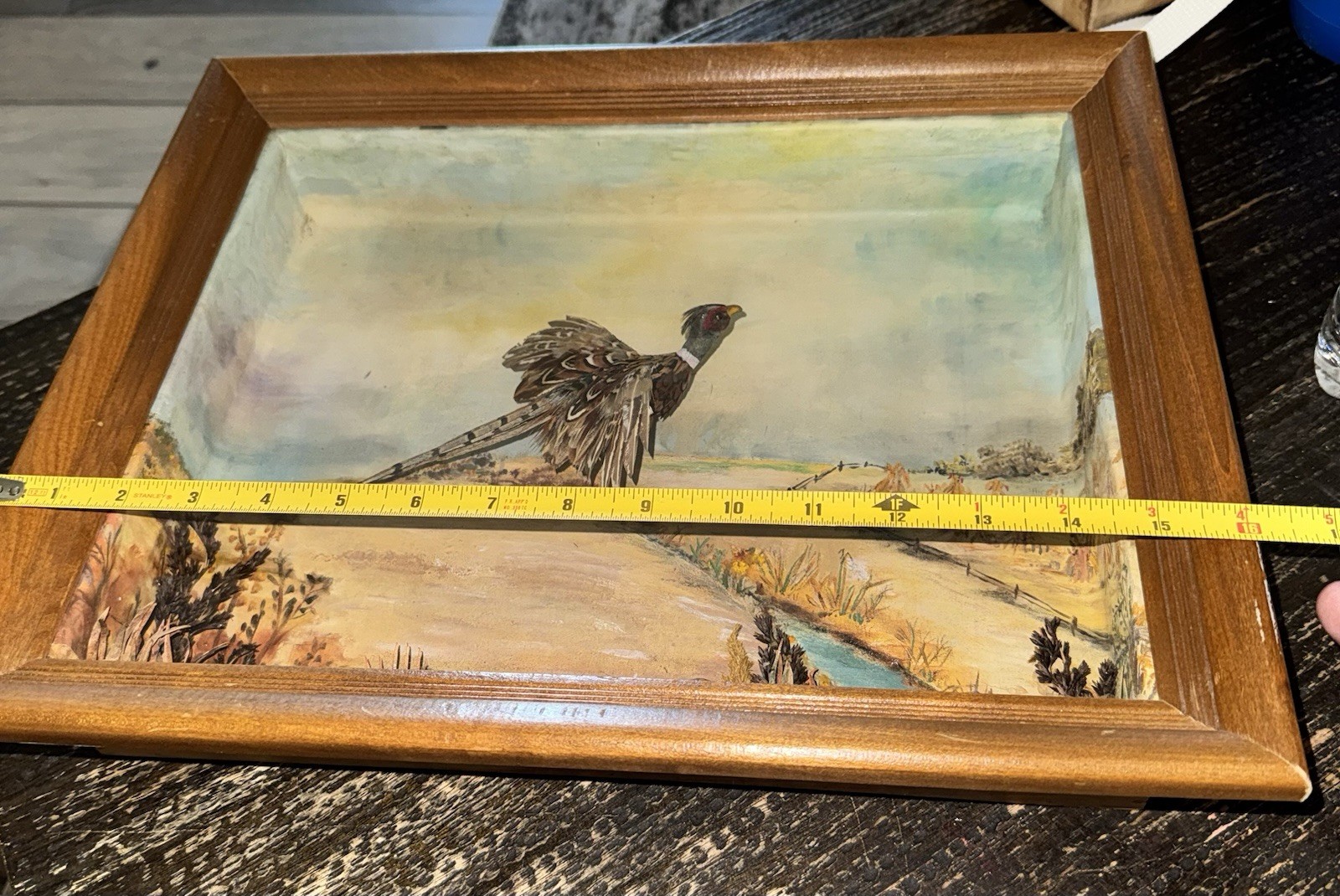 Mrs Willard H Doty Pheasant Shadow Box Diorama Folk Art Real Feather Bird
