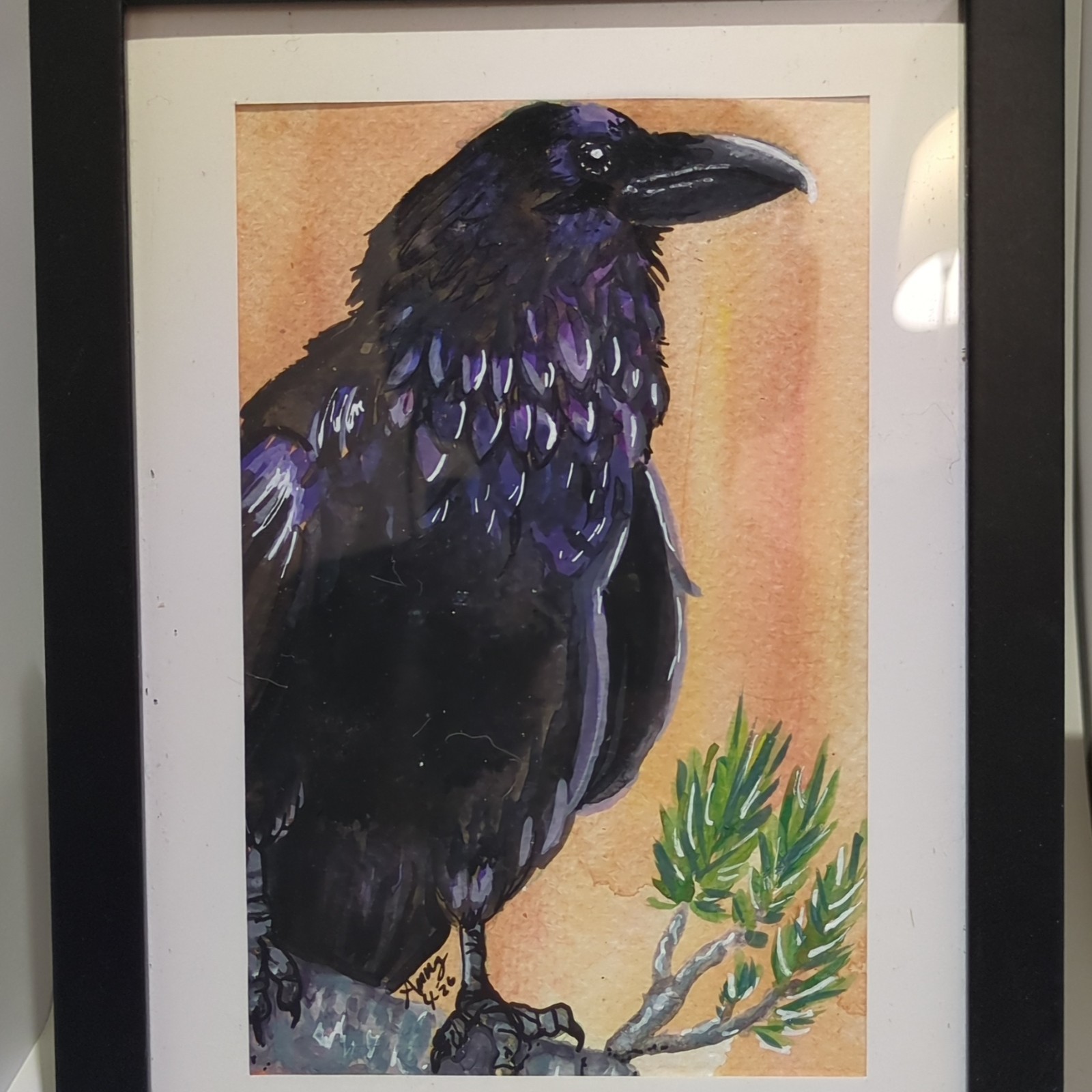 Ammy Original Fish Crow on Pine Tree Goache painting framed bird art