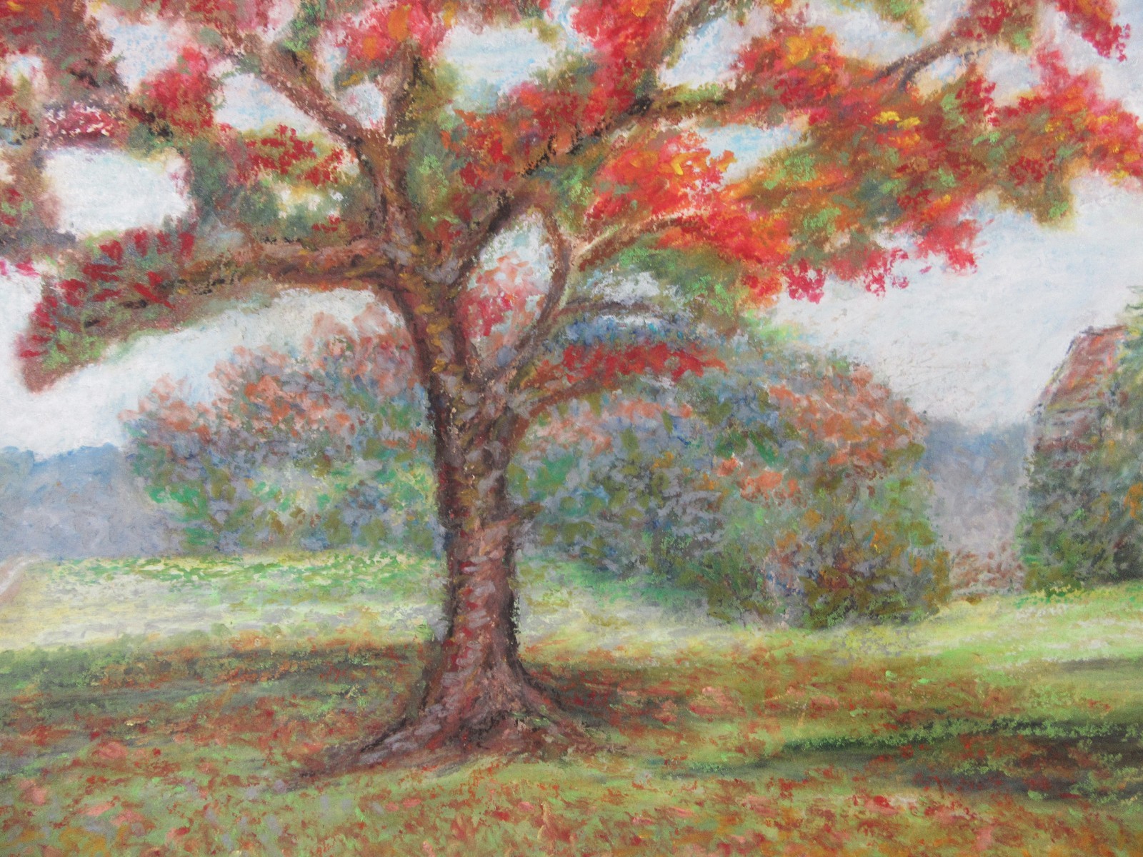 Original Oil Pastel Painting Art Florida Landscape Royal Poinciana Tree Garden