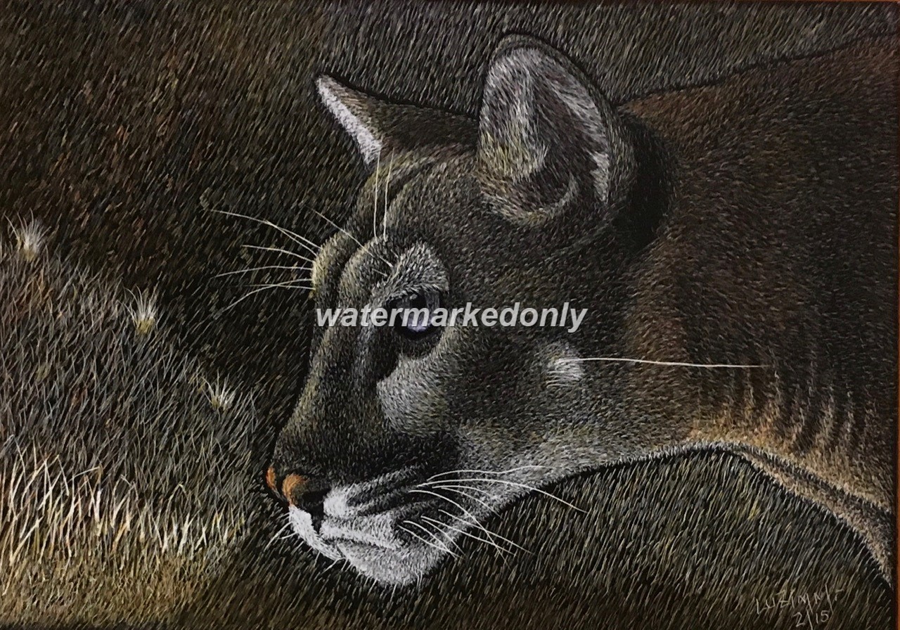 Ampersand Pro Board Original 5″x7″x1/4″ Cougar’s Profile Signed